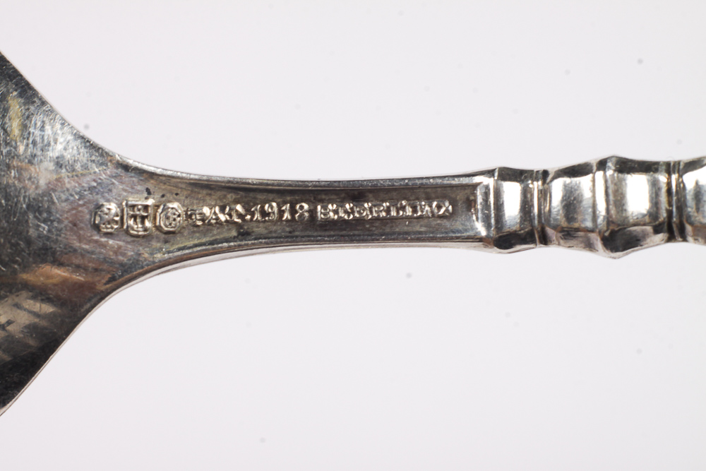 Roger Williams Silver Co. Sterling Spoon with Additional Spoons