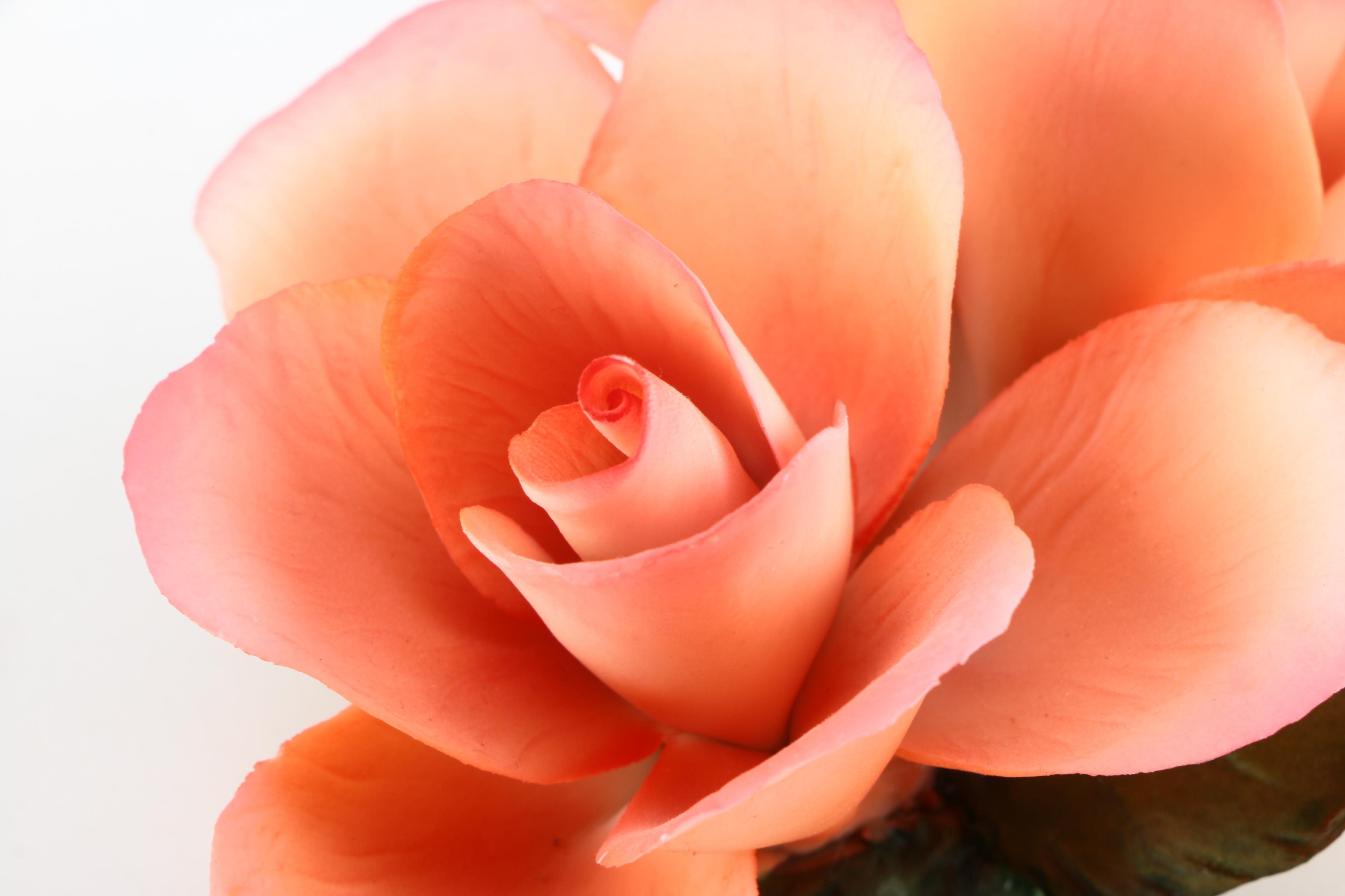 Napoleon and Capodimonte Porcelain Flowers