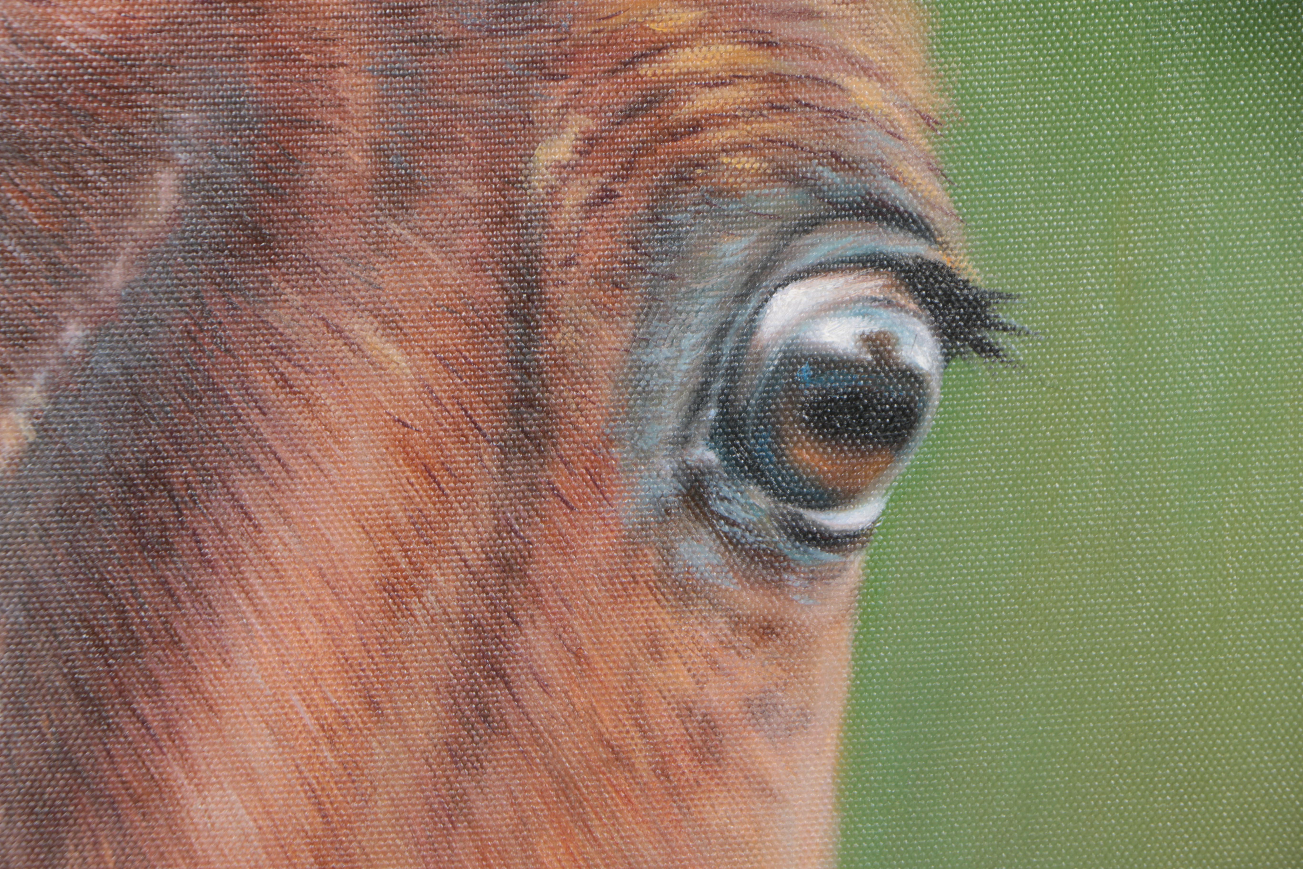 Oil Painting on Canvas of Horse