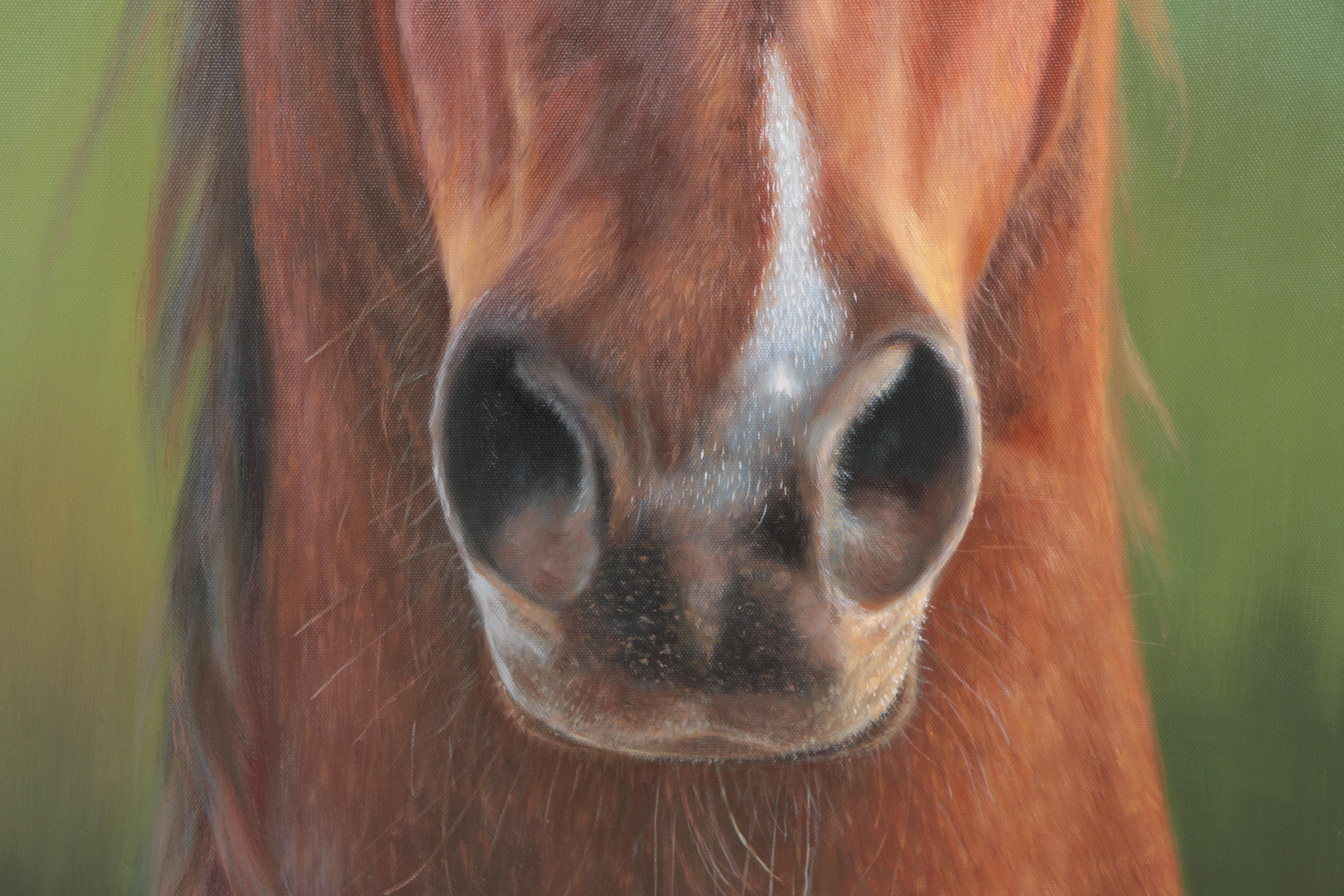 Oil Painting on Canvas of Horse