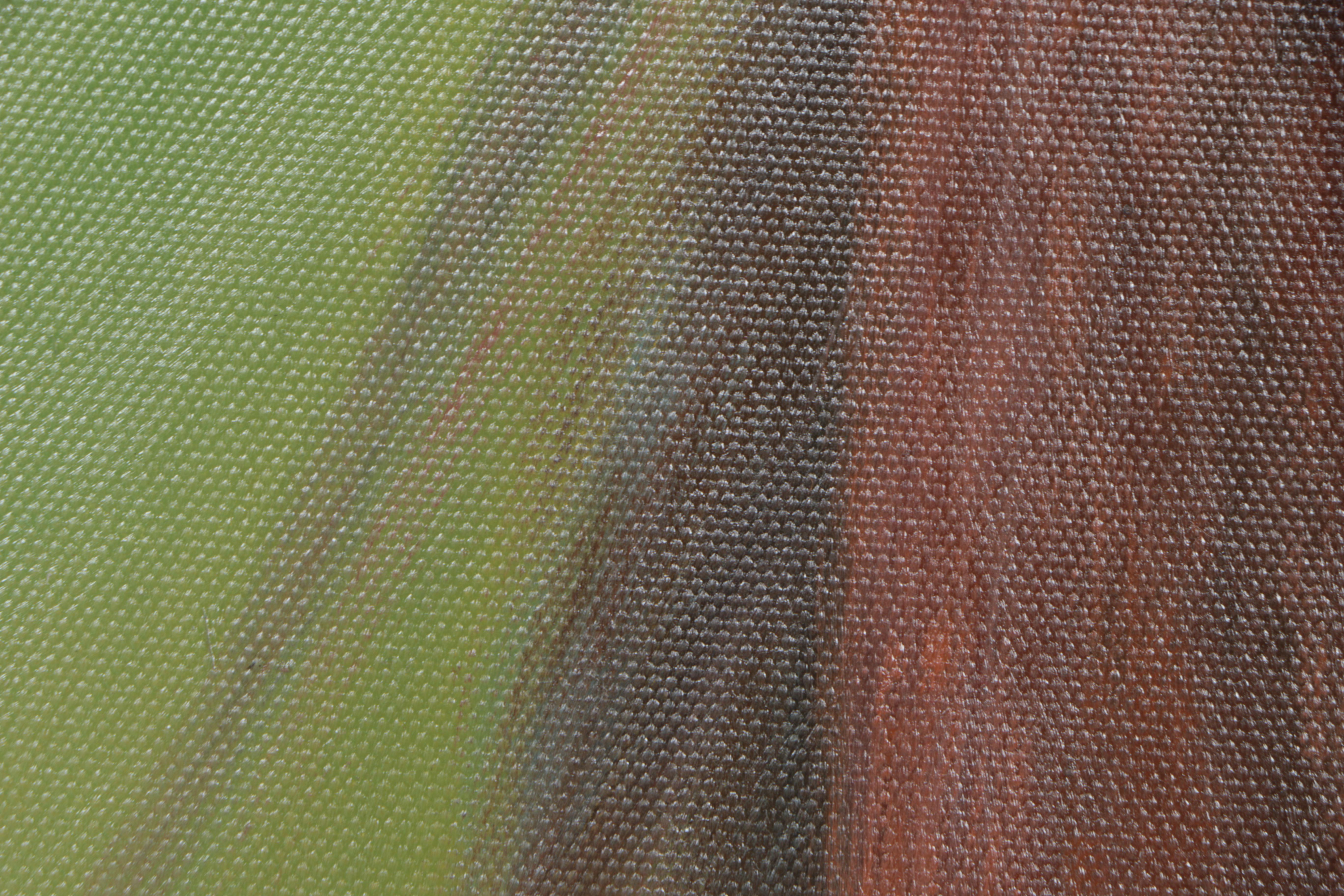 Oil Painting on Canvas of Horse