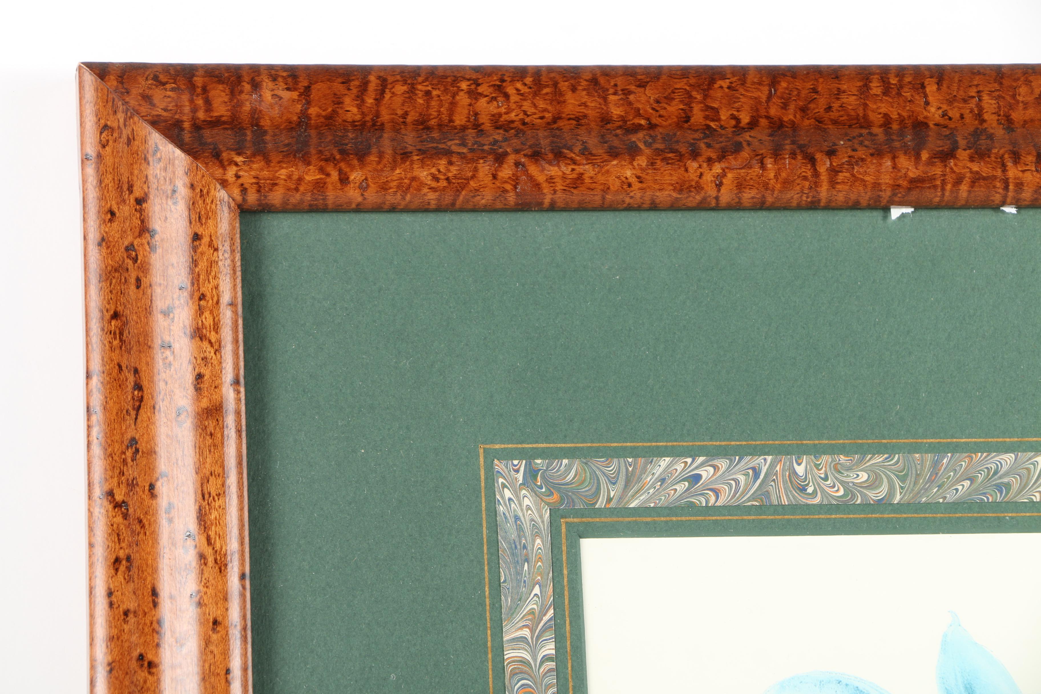 Vintage Offset Lithograph from the "Album Vilmorin: Les Plantes Potagères"