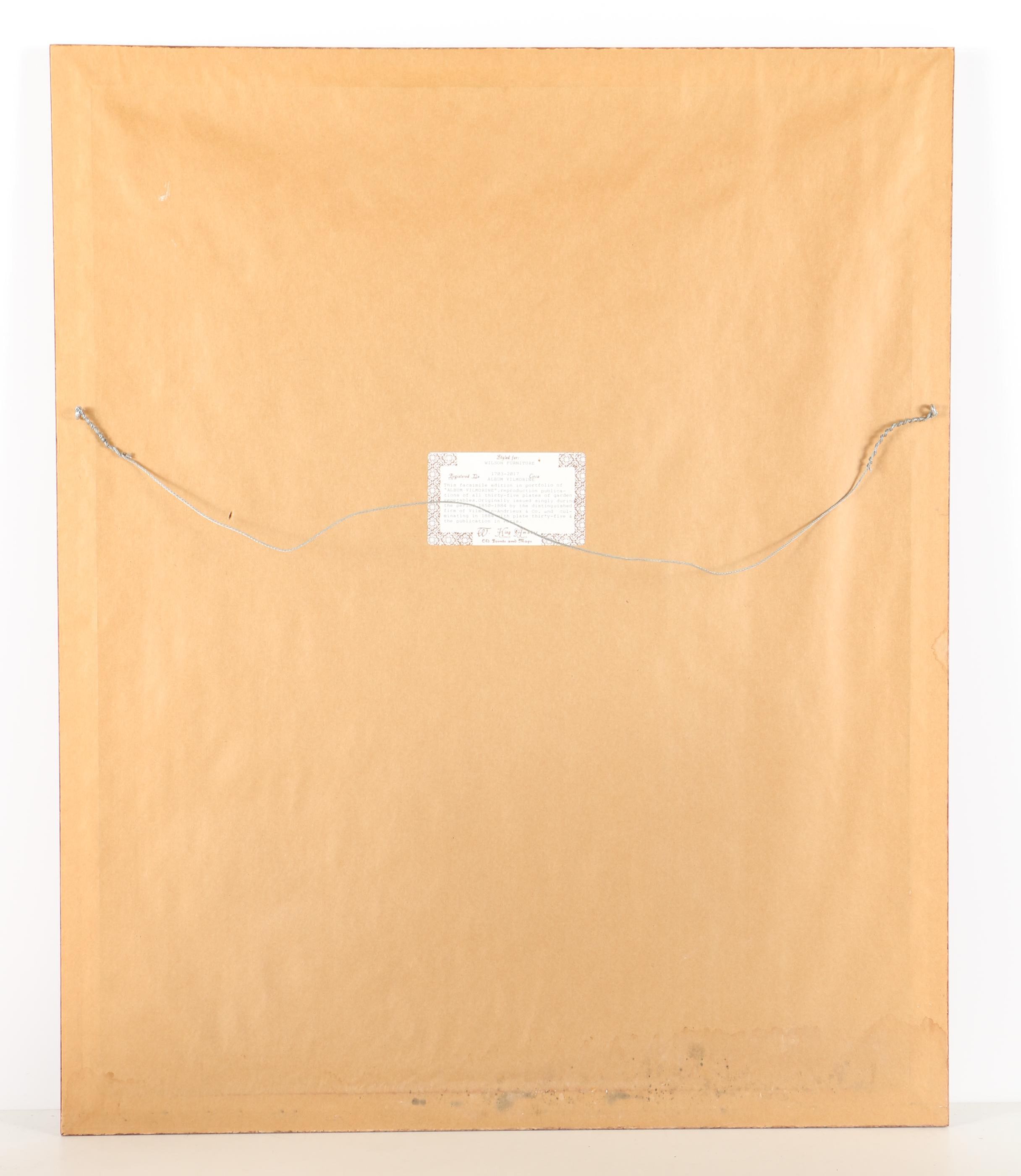 Vintage Offset Lithograph from the "Album Vilmorin: Les Plantes Potagères"