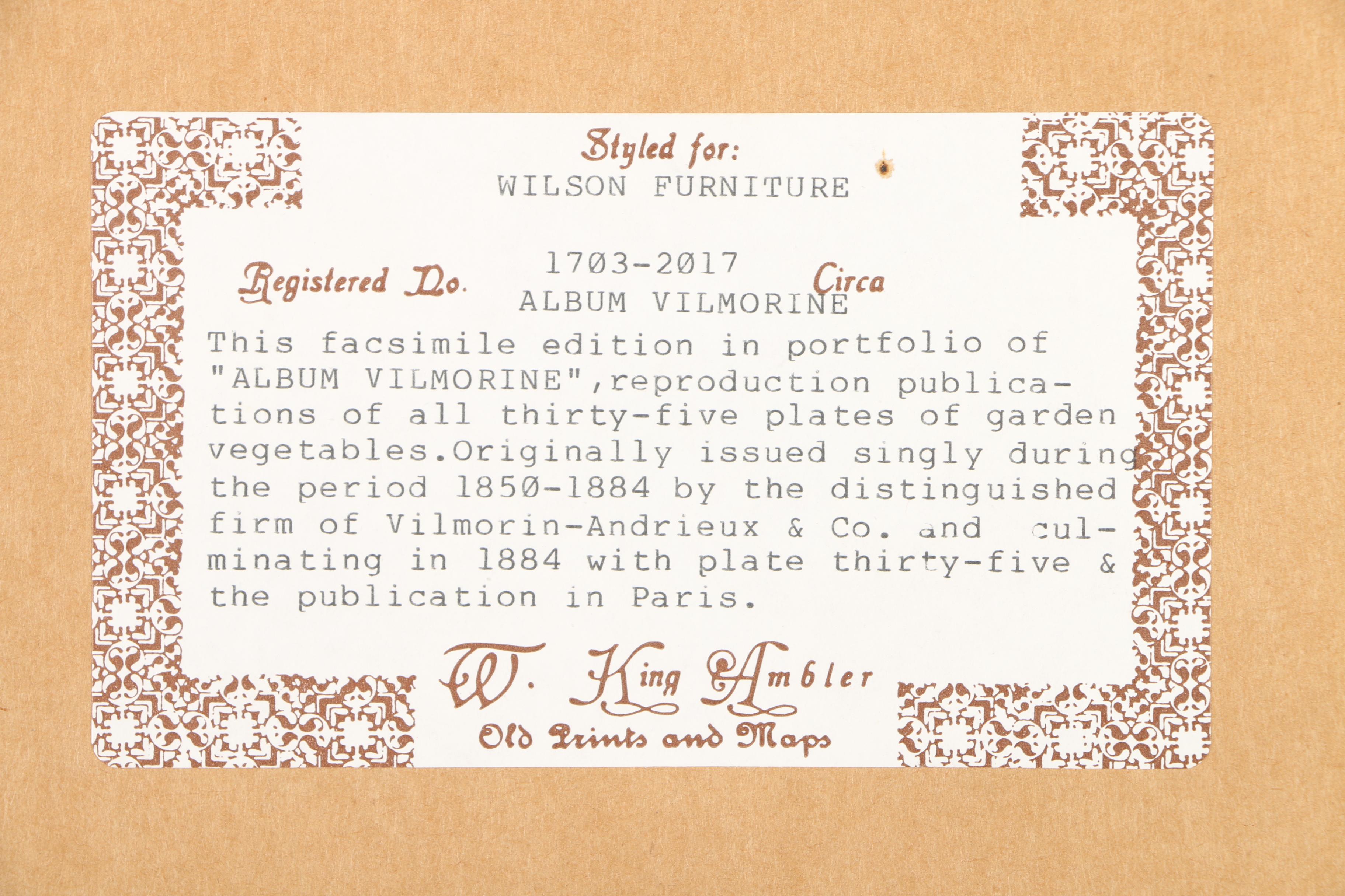 Vintage Offset Lithograph from the "Album Vilmorin: Les Plantes Potagères"