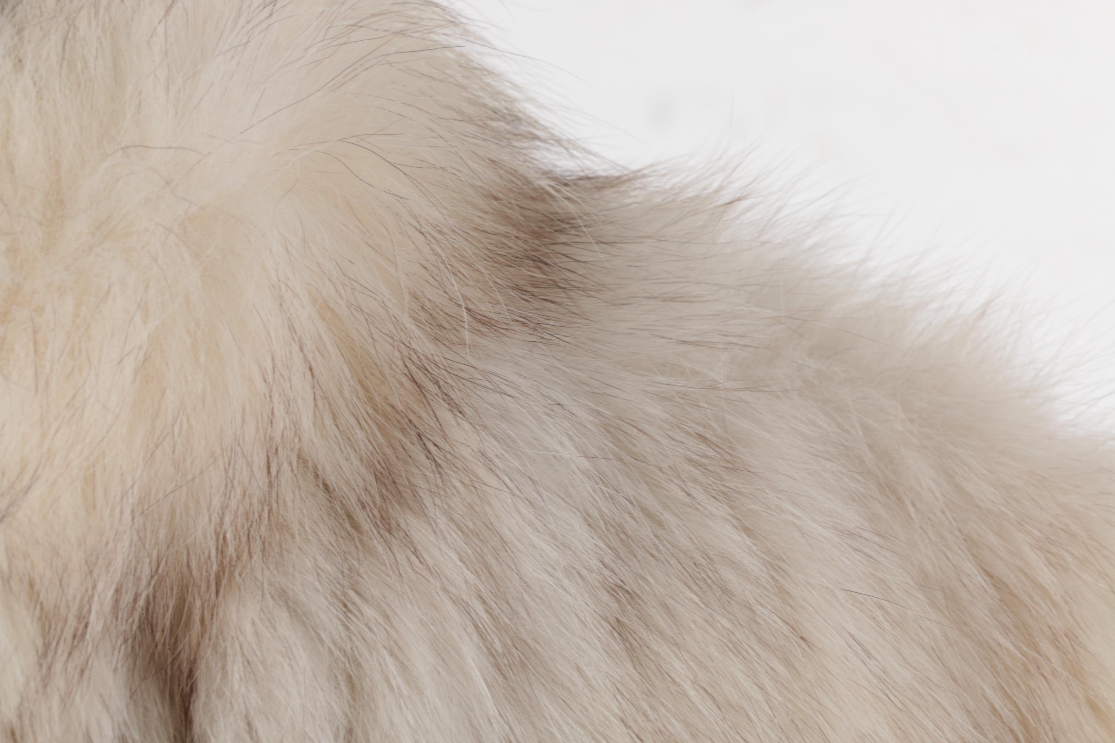 Fox Fur Jacket from the Siberian Fur Store of Hong Kong