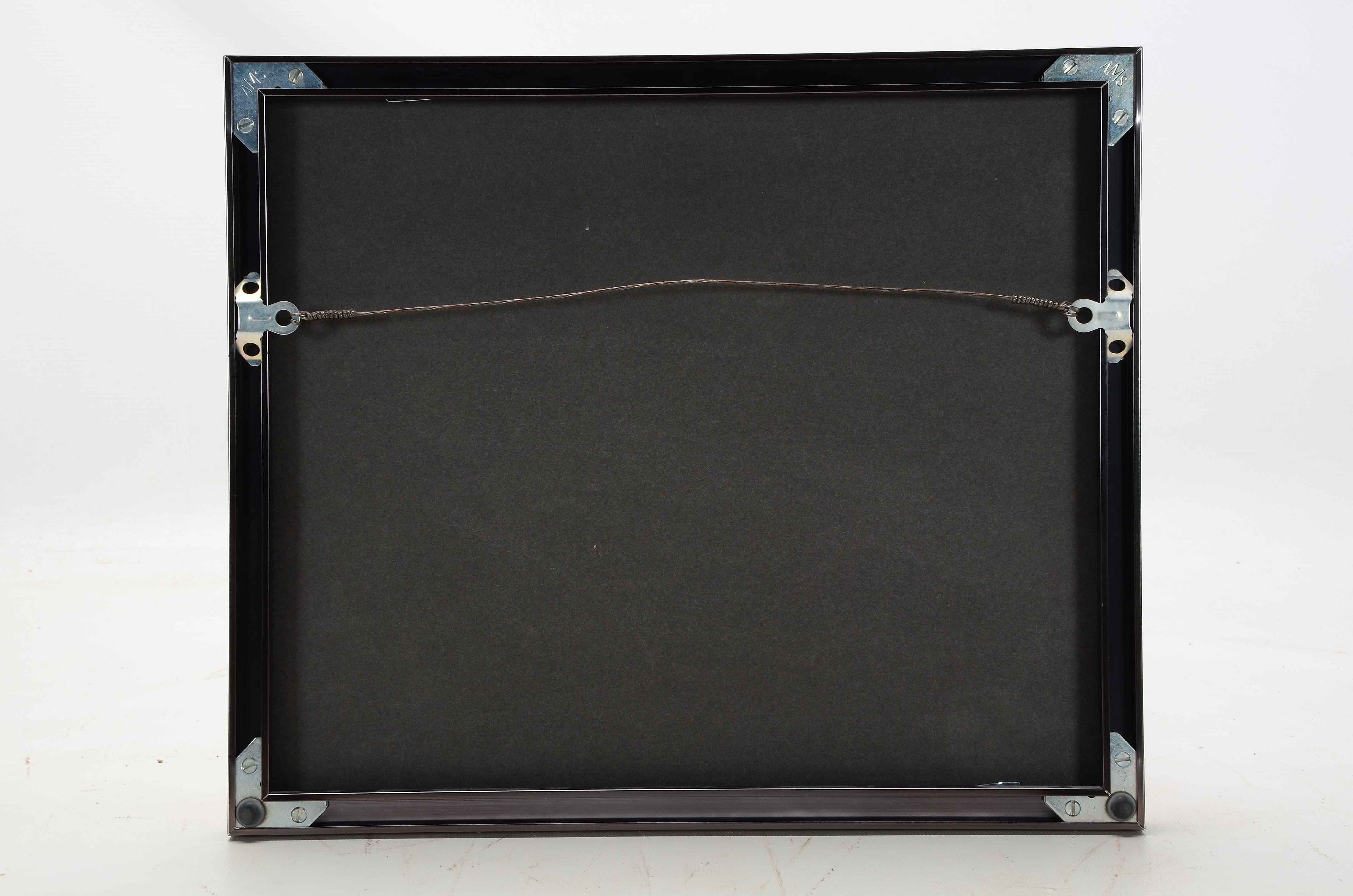 Crosley Field and Betty Boop Reds Pictures