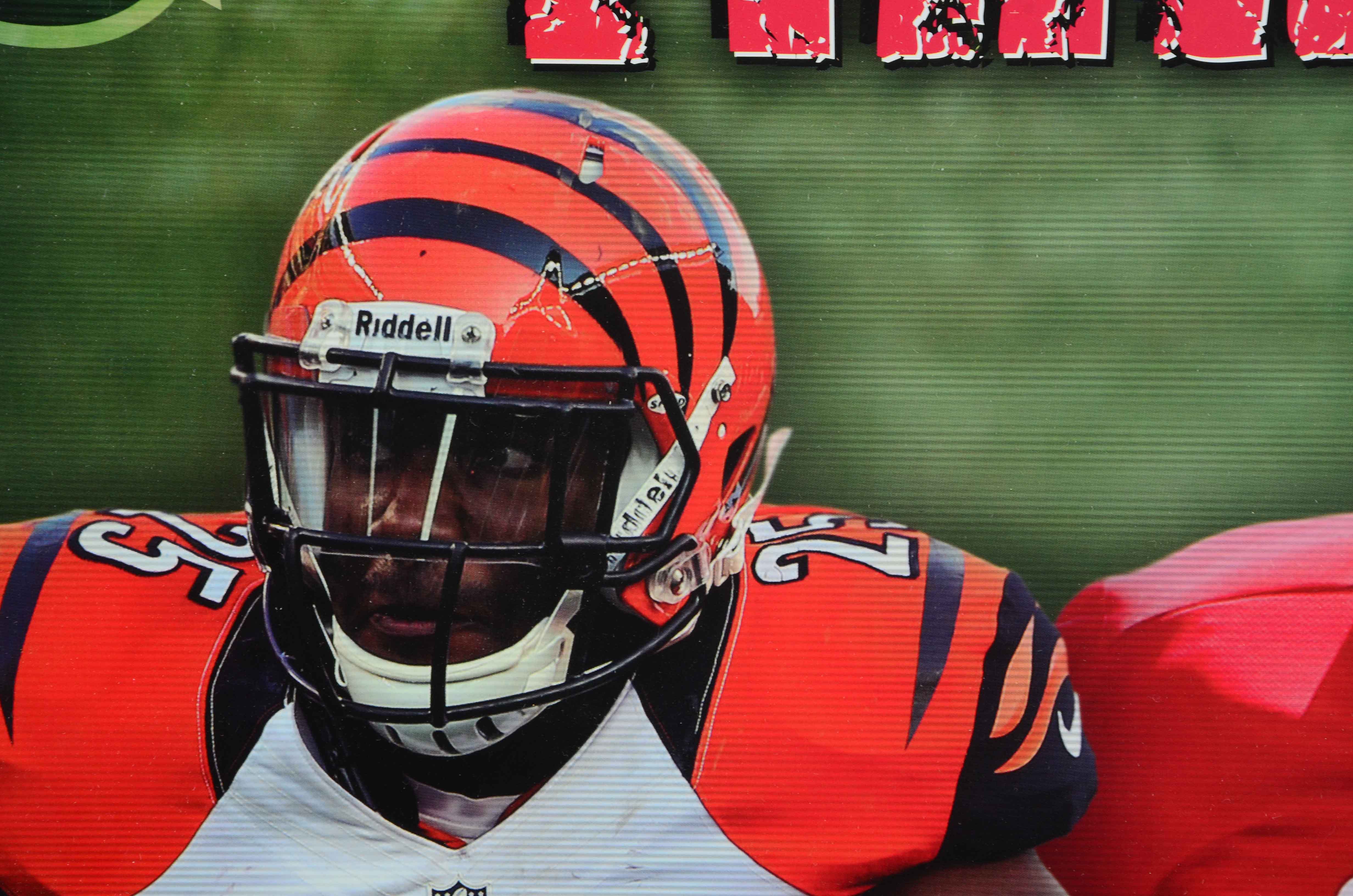 Hamilton and Bernard Signed Poster