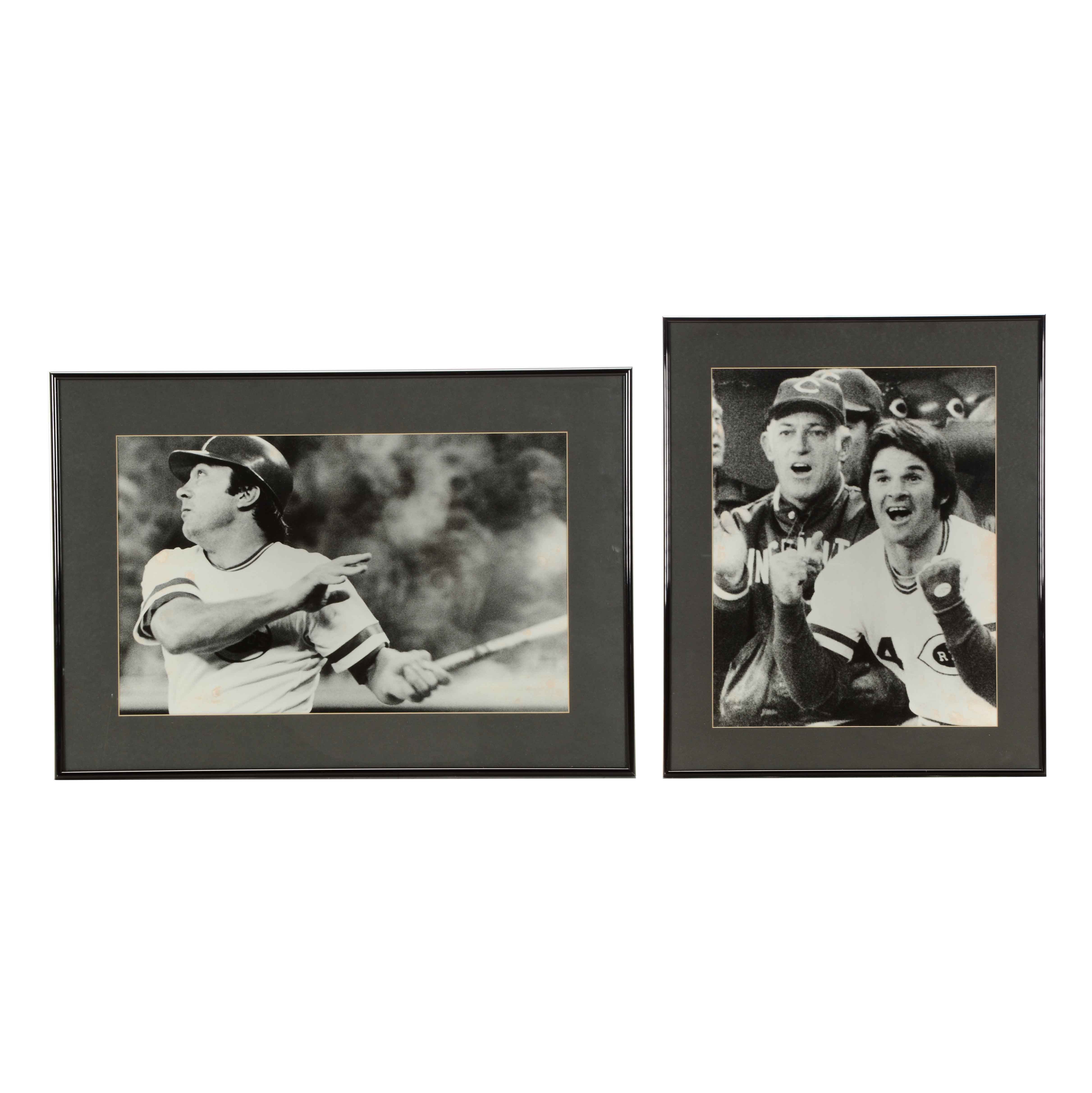 Bench, Rose and Sparky Photos