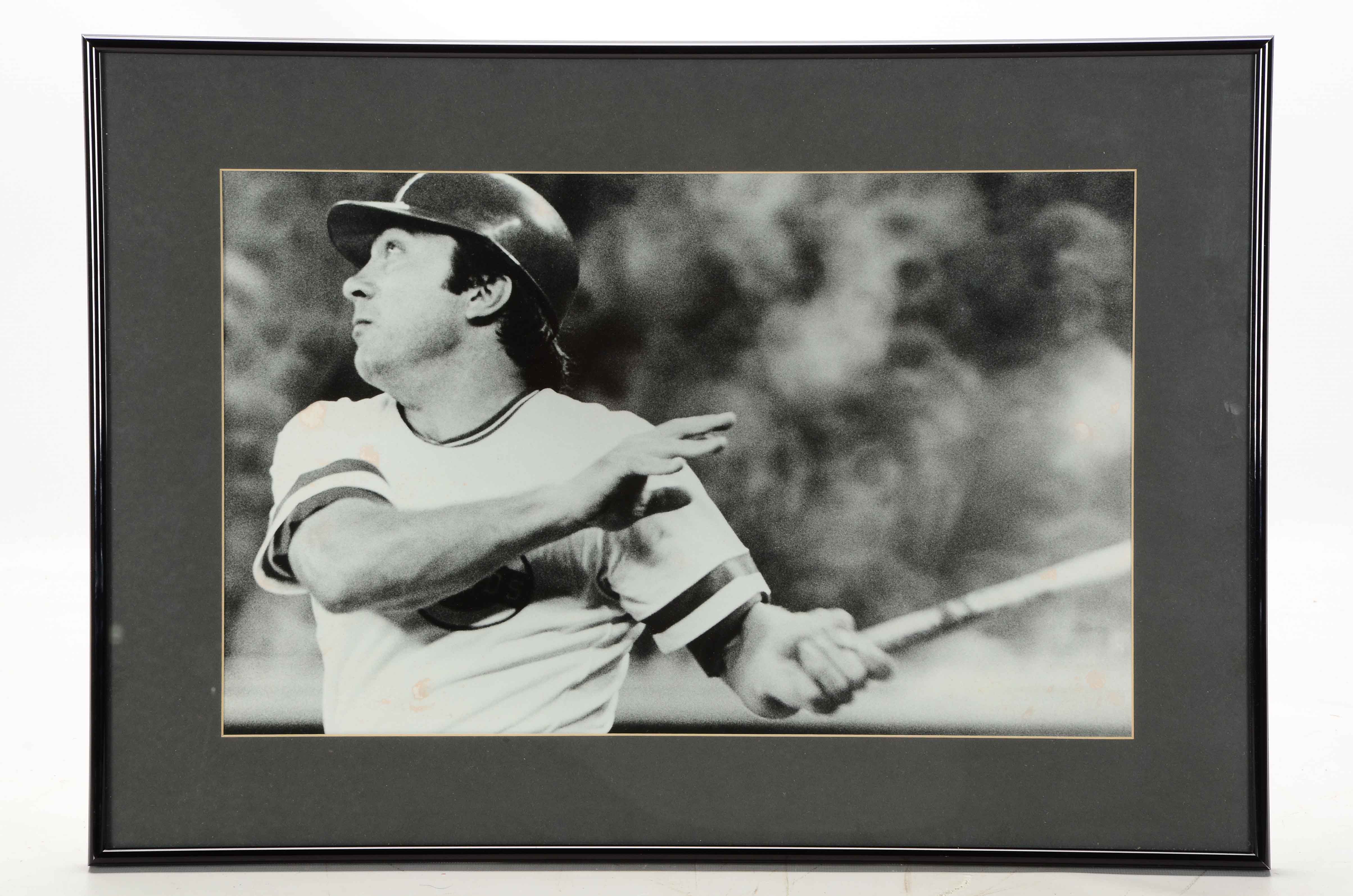 Bench, Rose and Sparky Photos