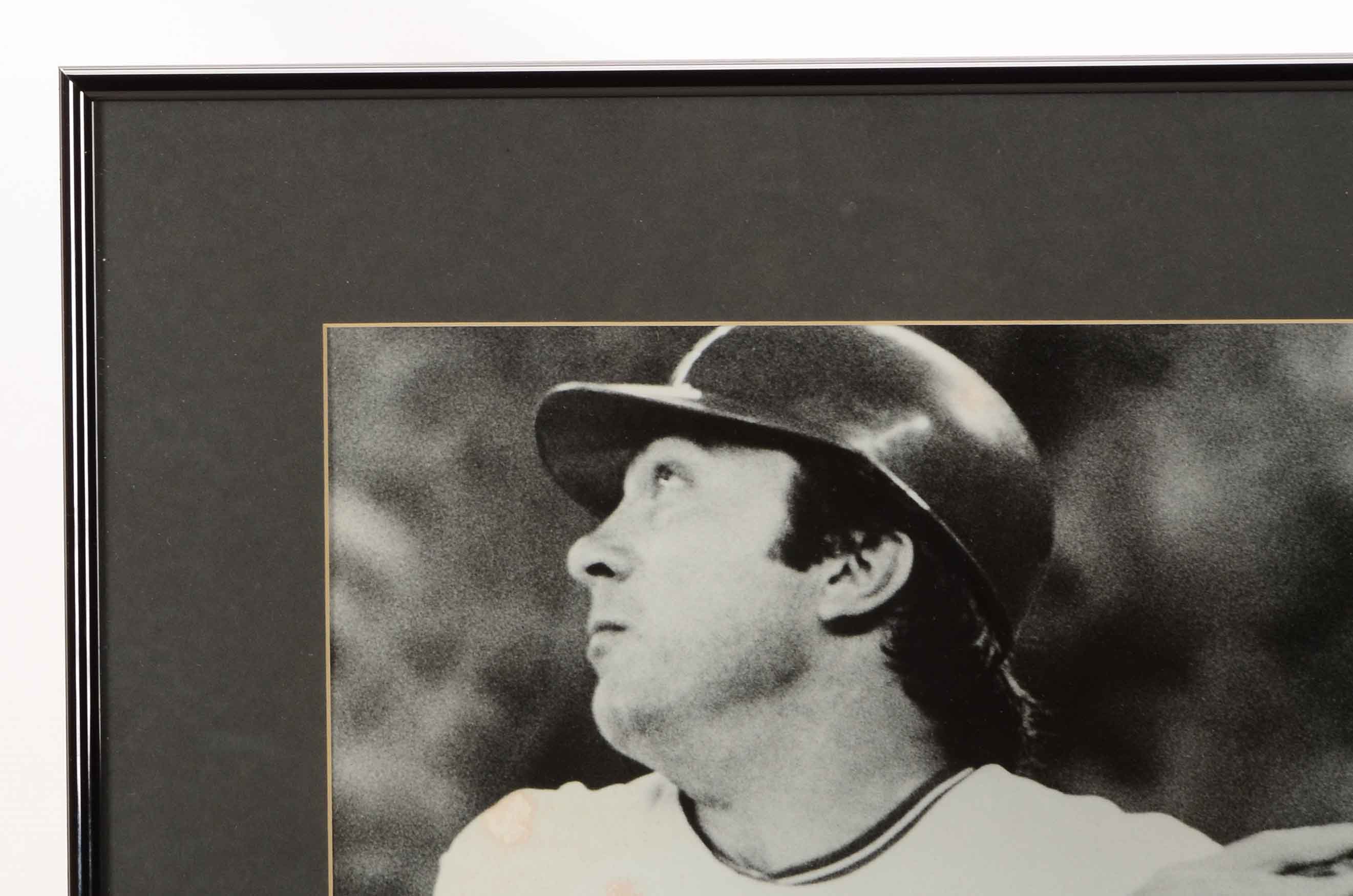 Bench, Rose and Sparky Photos