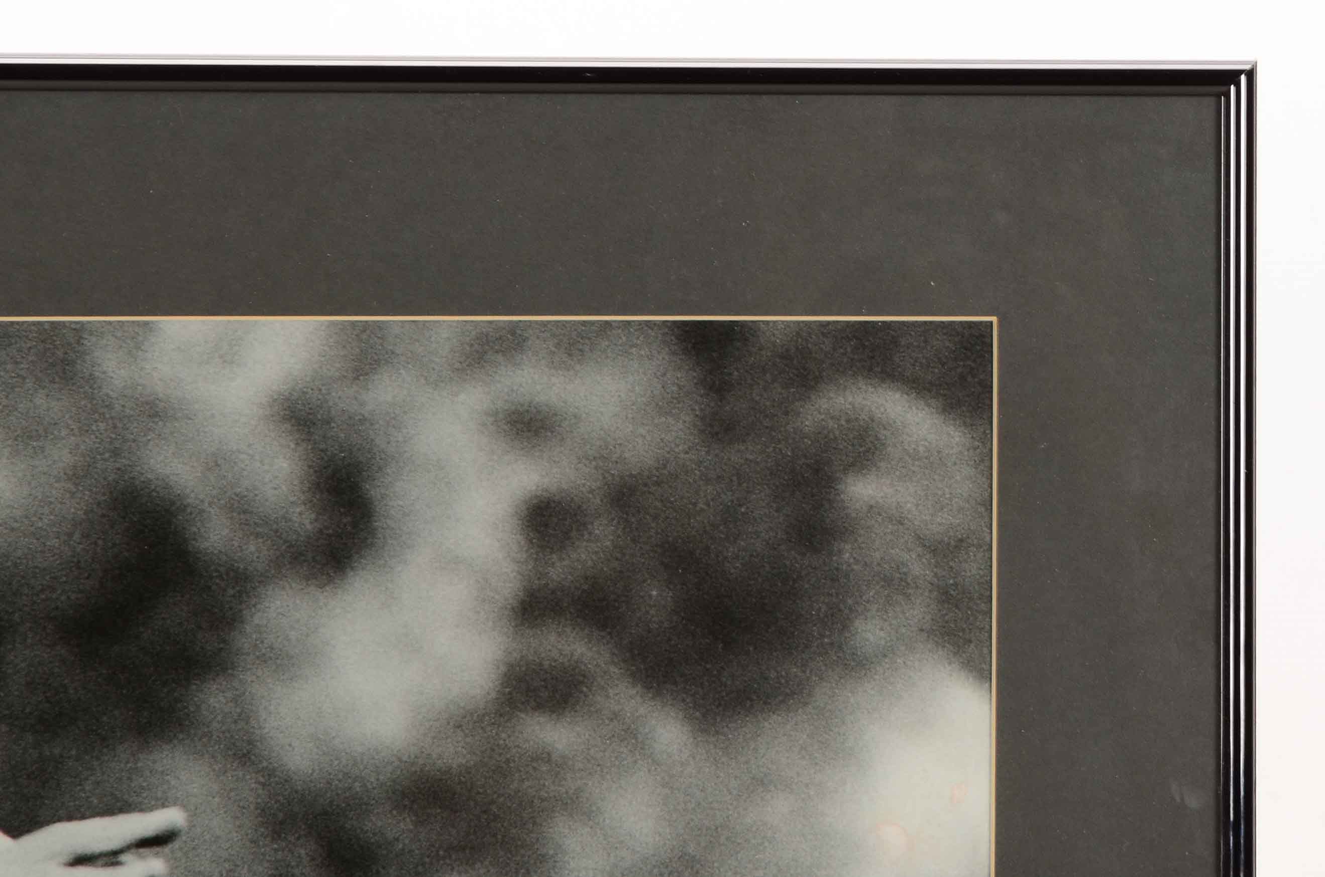 Bench, Rose and Sparky Photos