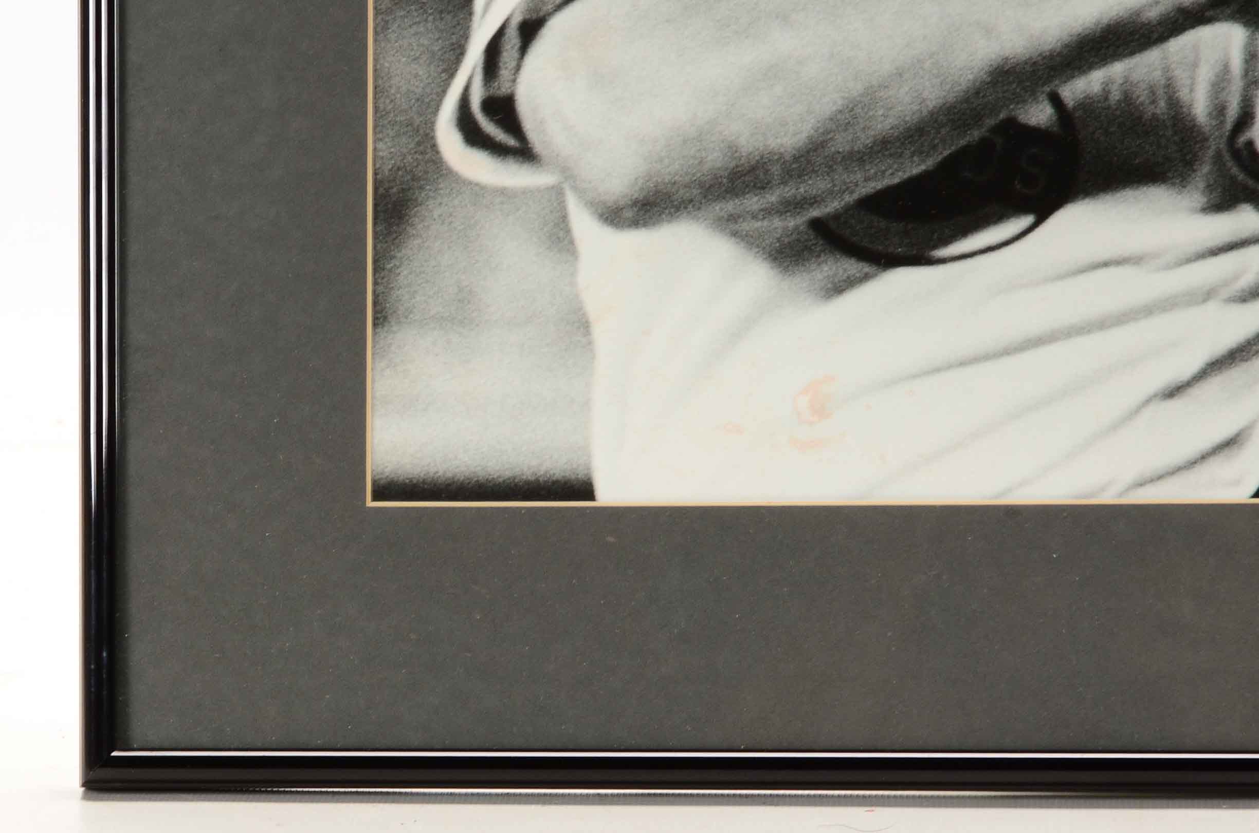 Bench, Rose and Sparky Photos