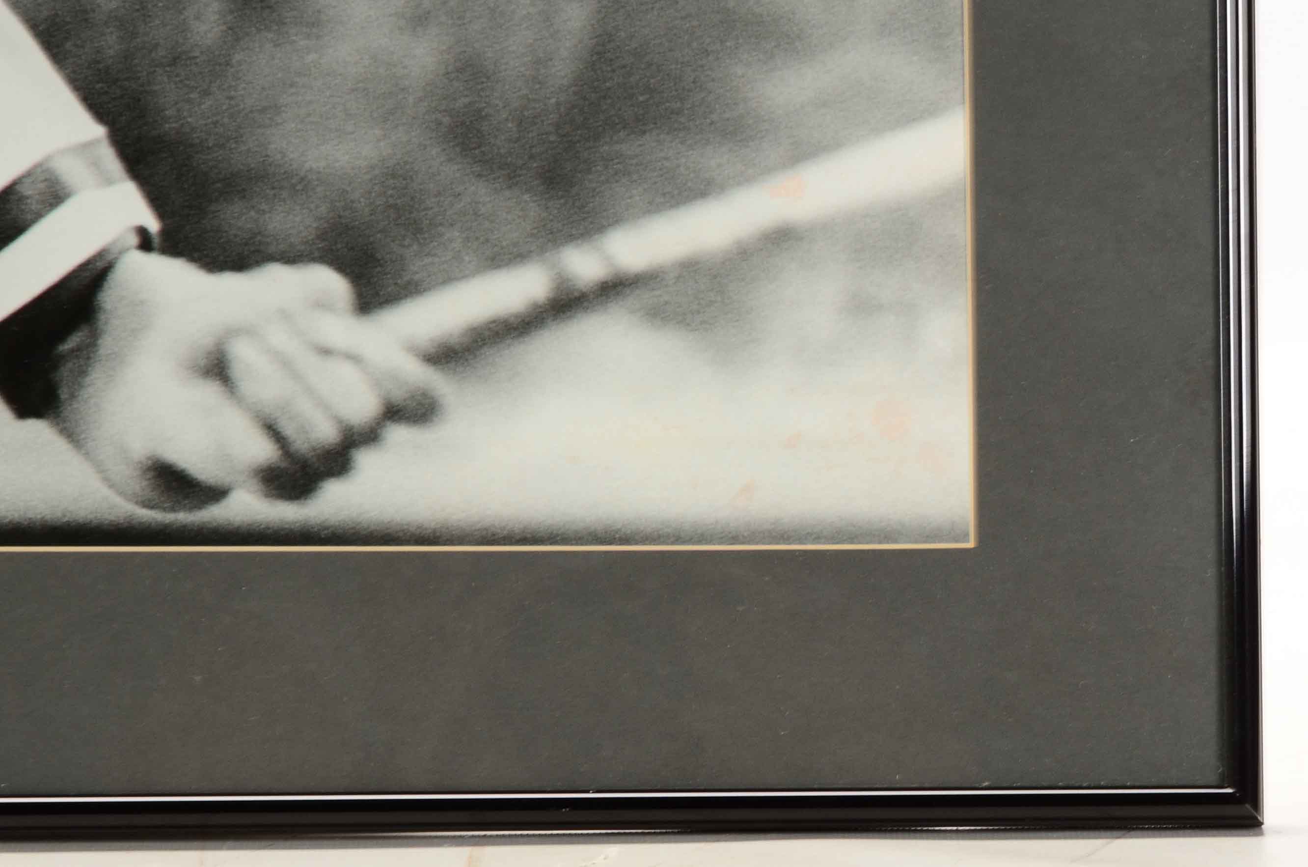 Bench, Rose and Sparky Photos