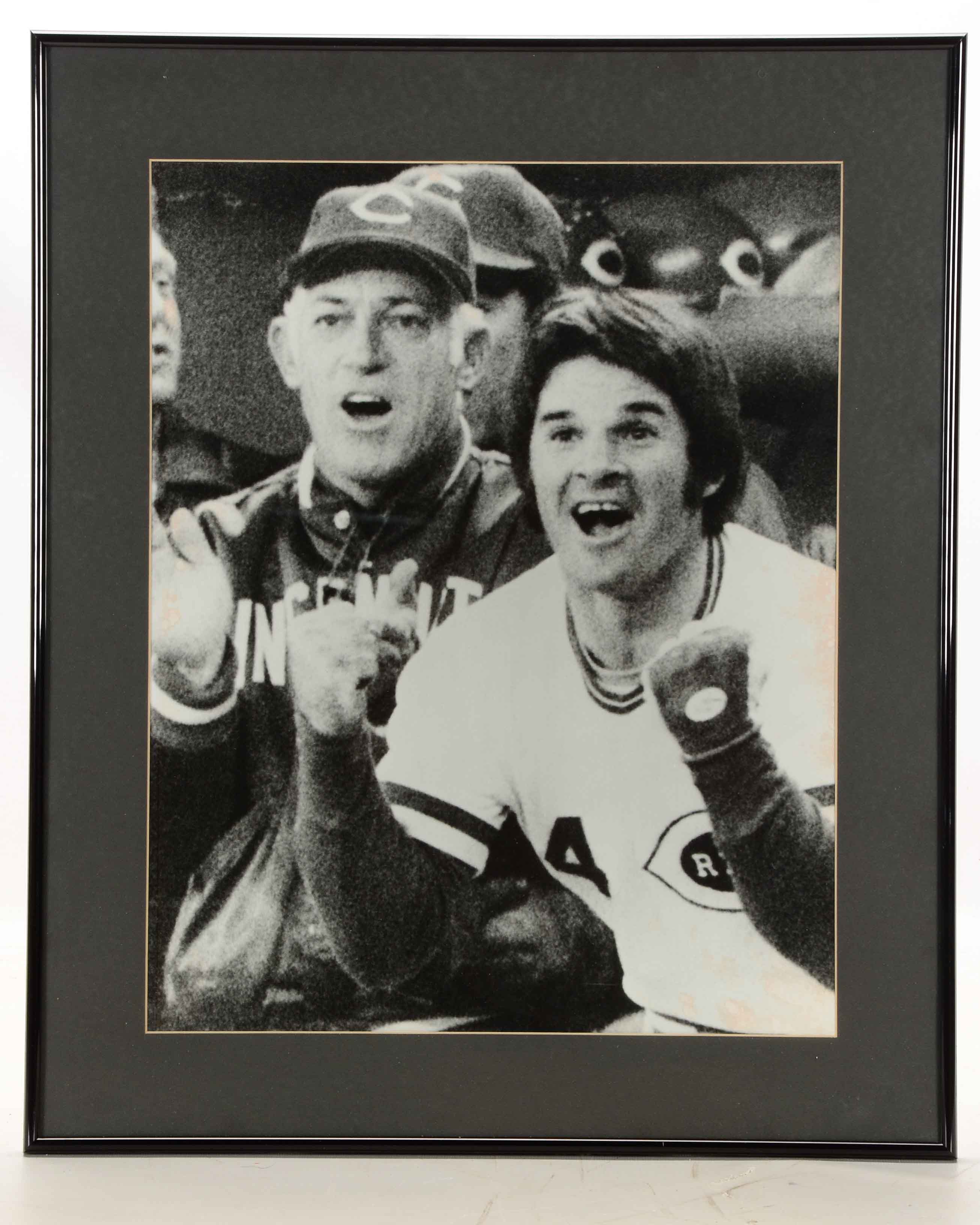 Bench, Rose and Sparky Photos