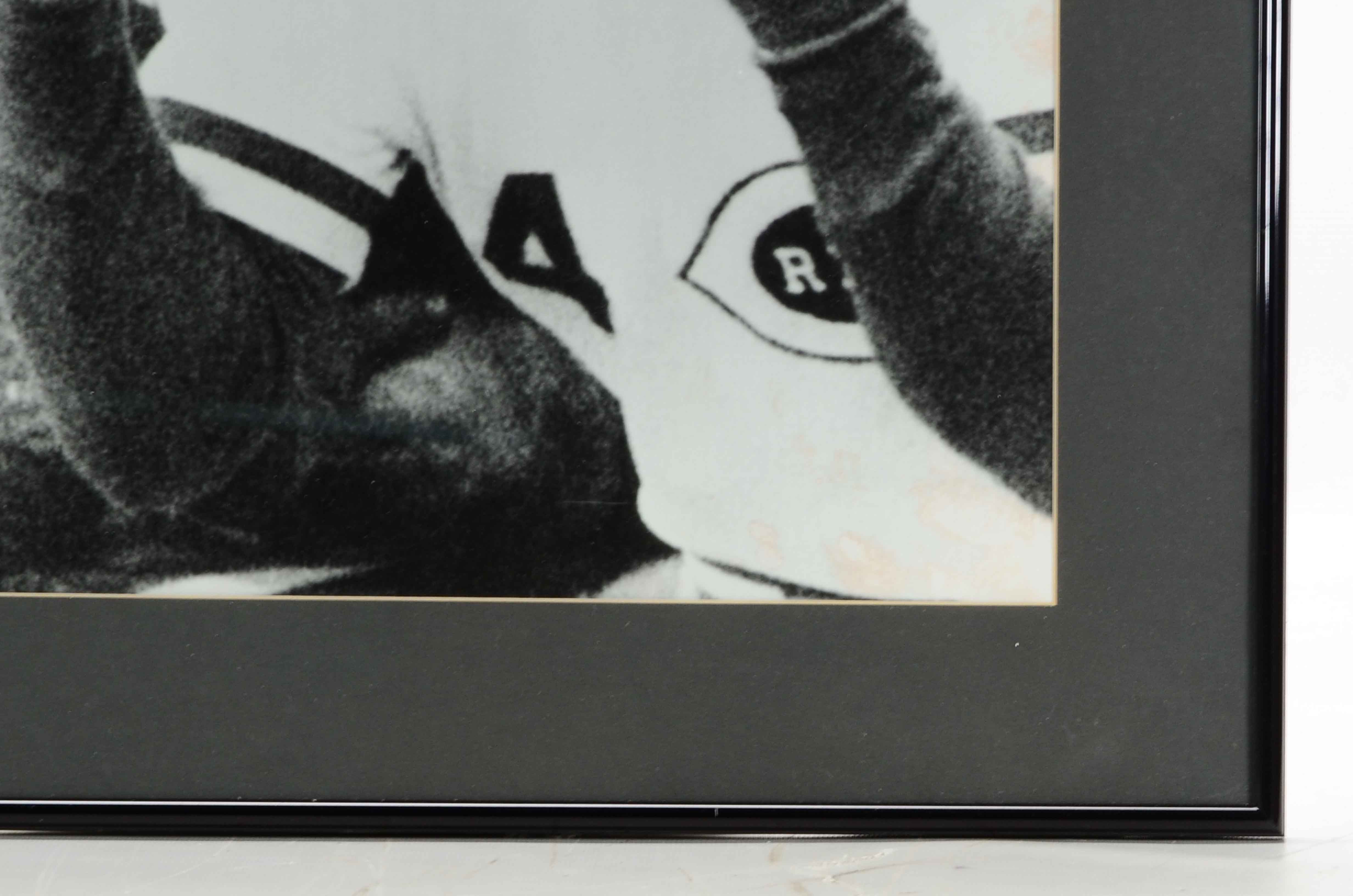 Bench, Rose and Sparky Photos