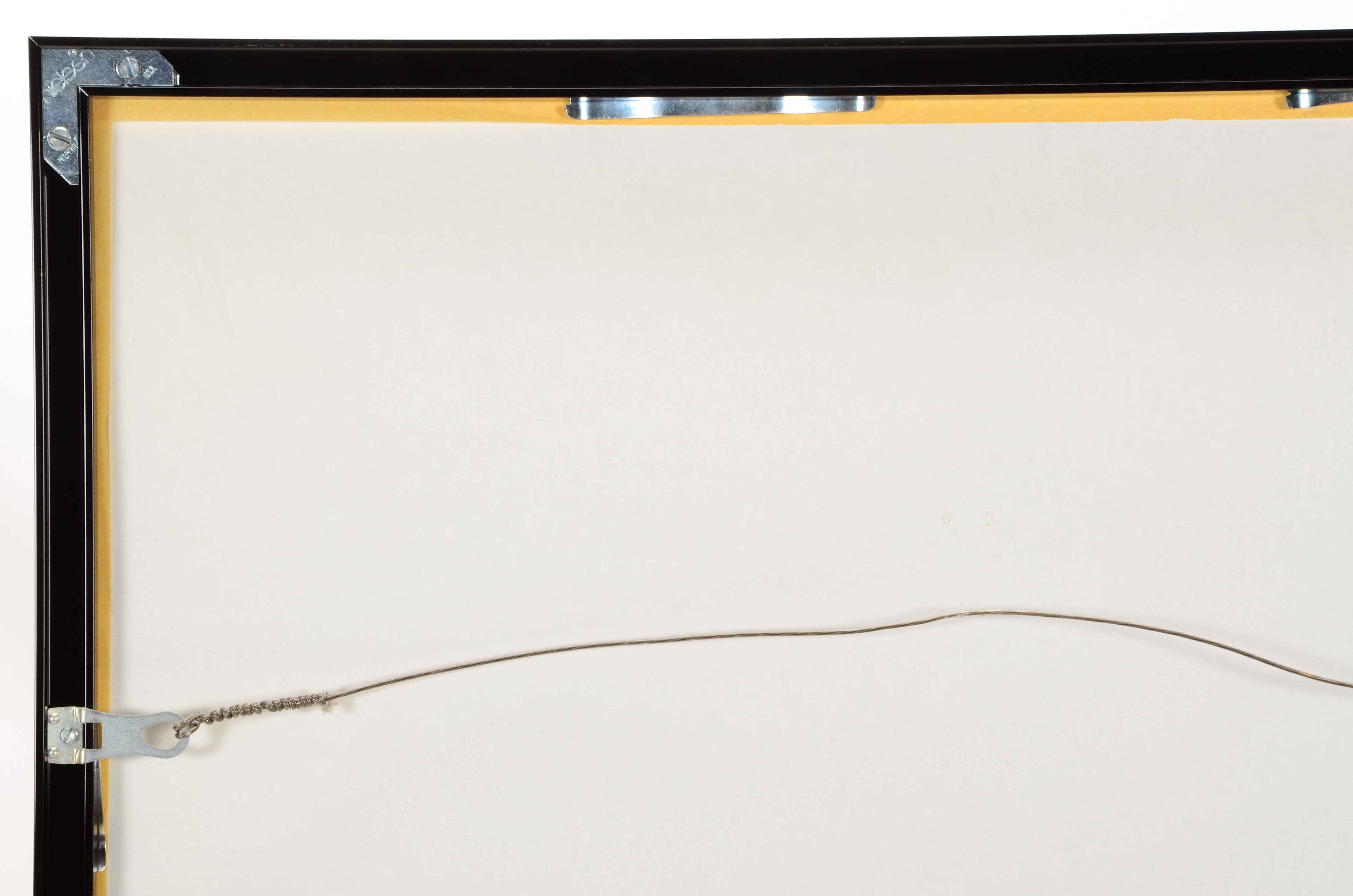 Bench, Rose and Sparky Photos