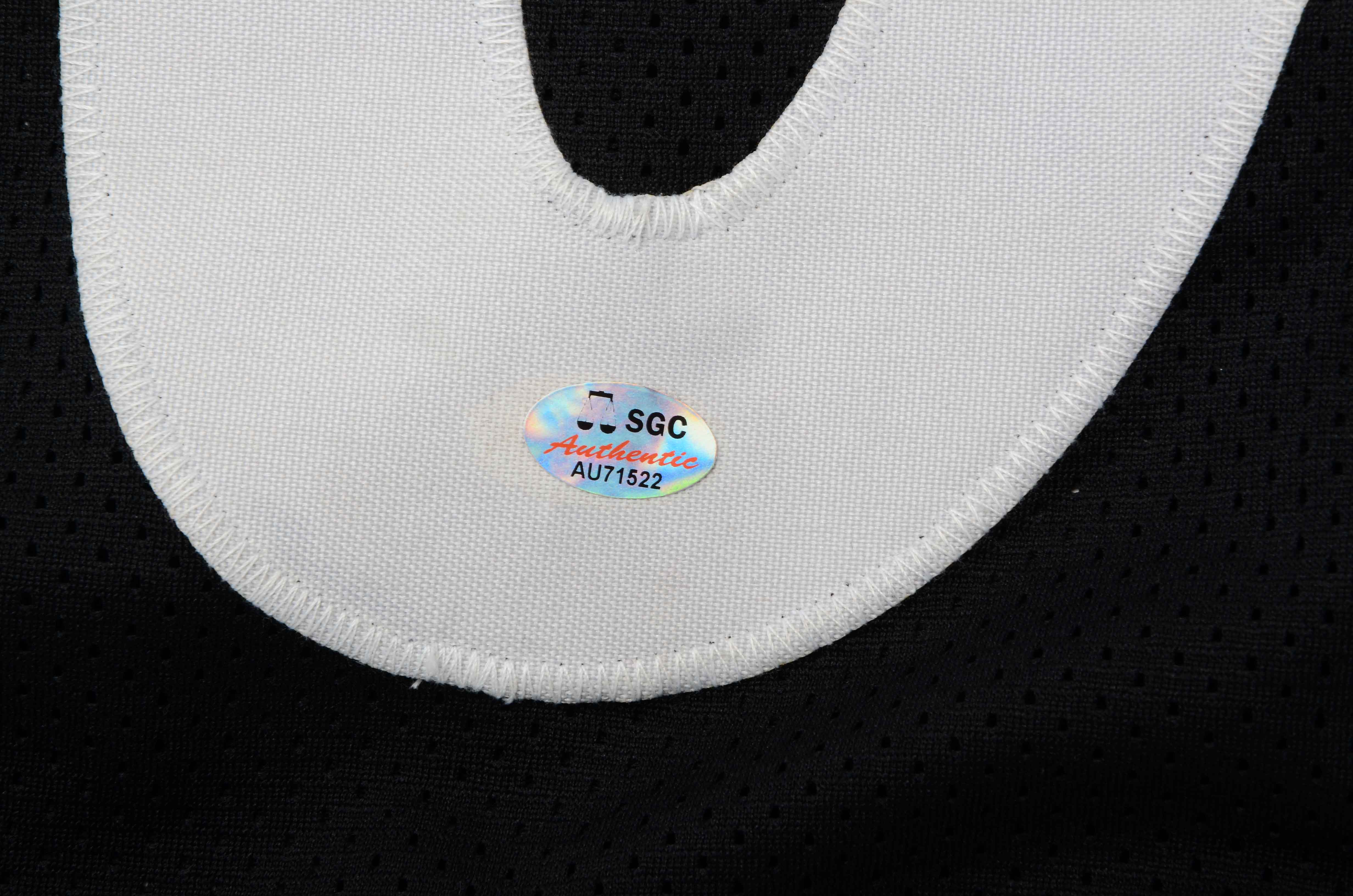 Hines Ward Signed Jersey  COA