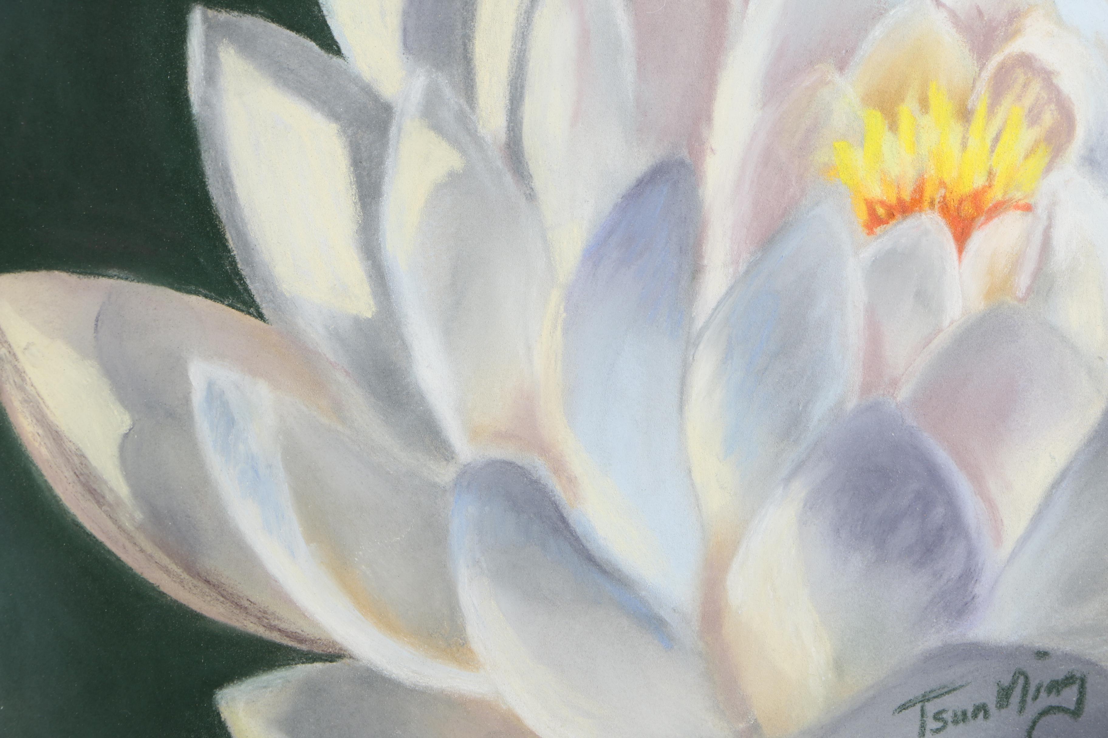 Tsun Ming Chmielinski Pastel Drawing of Lotus Flower