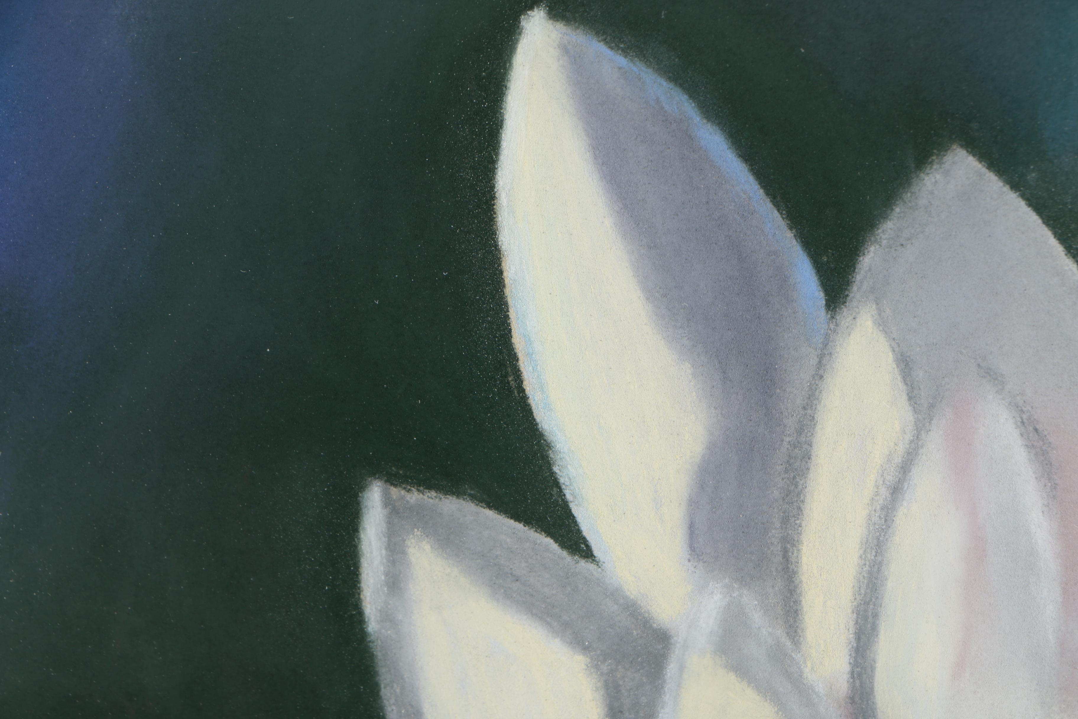 Tsun Ming Chmielinski Pastel Drawing of Lotus Flower