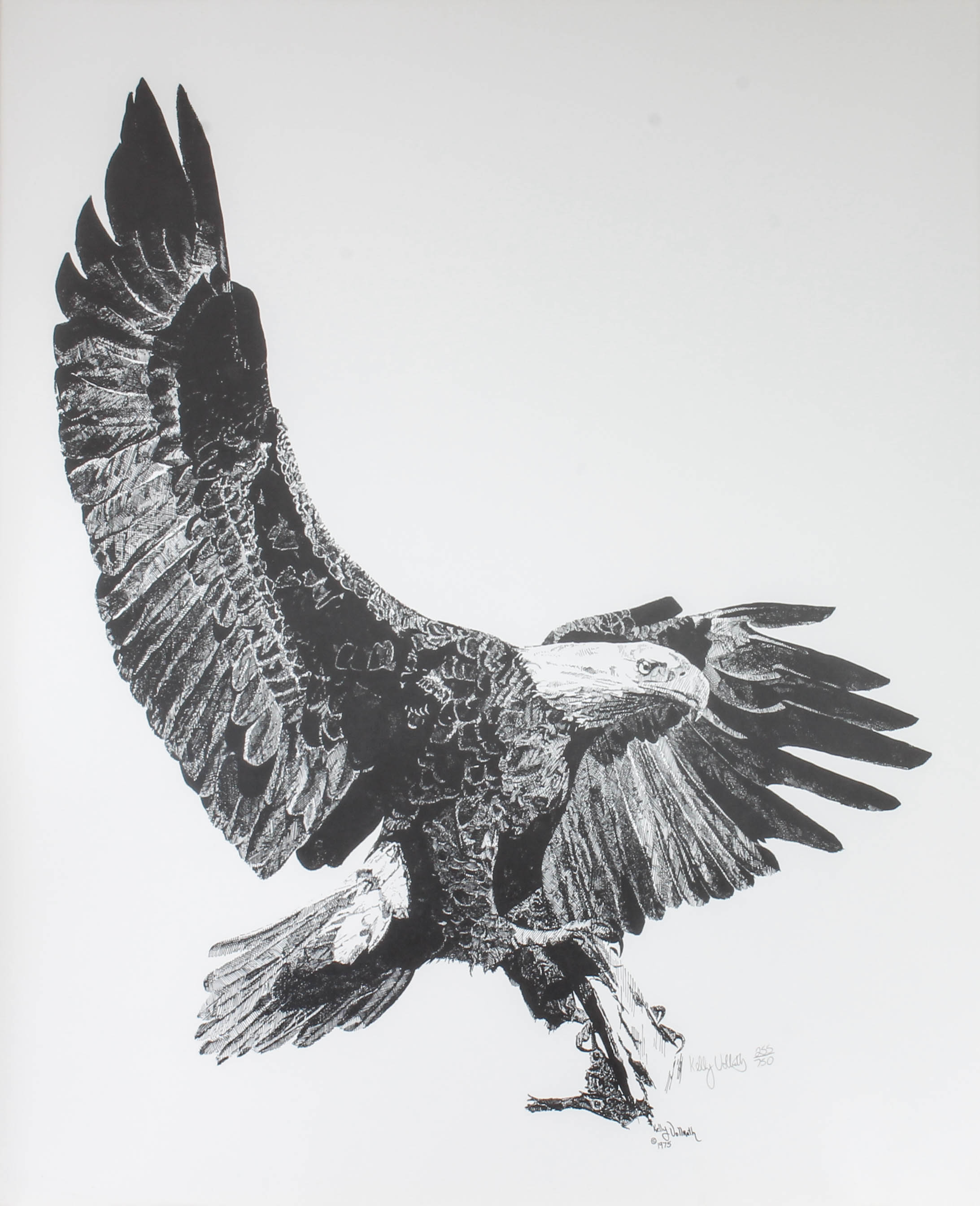 Kelly Vollrath Offset Lithograph of Bald Eagle
