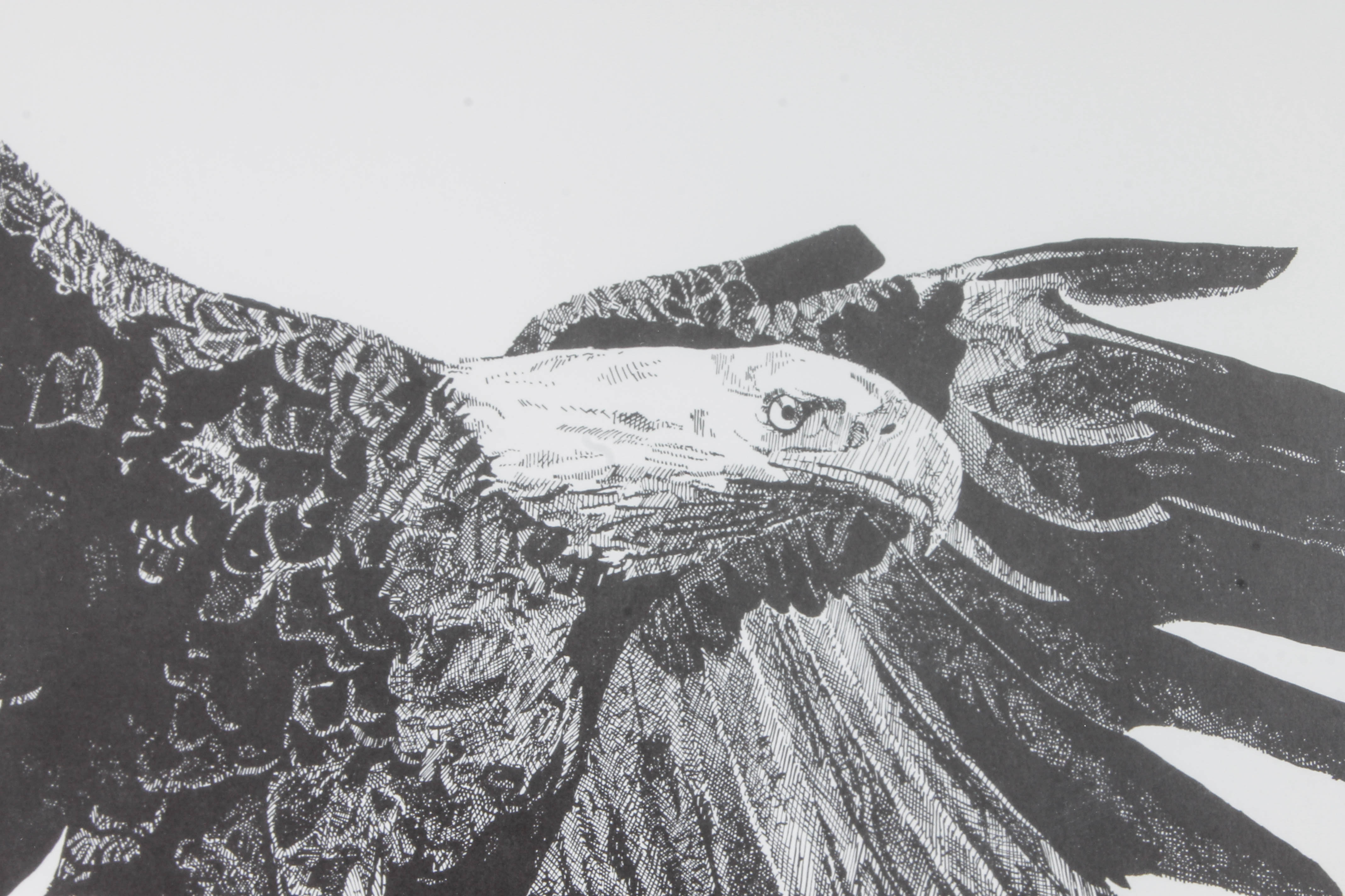 Kelly Vollrath Offset Lithograph of Bald Eagle