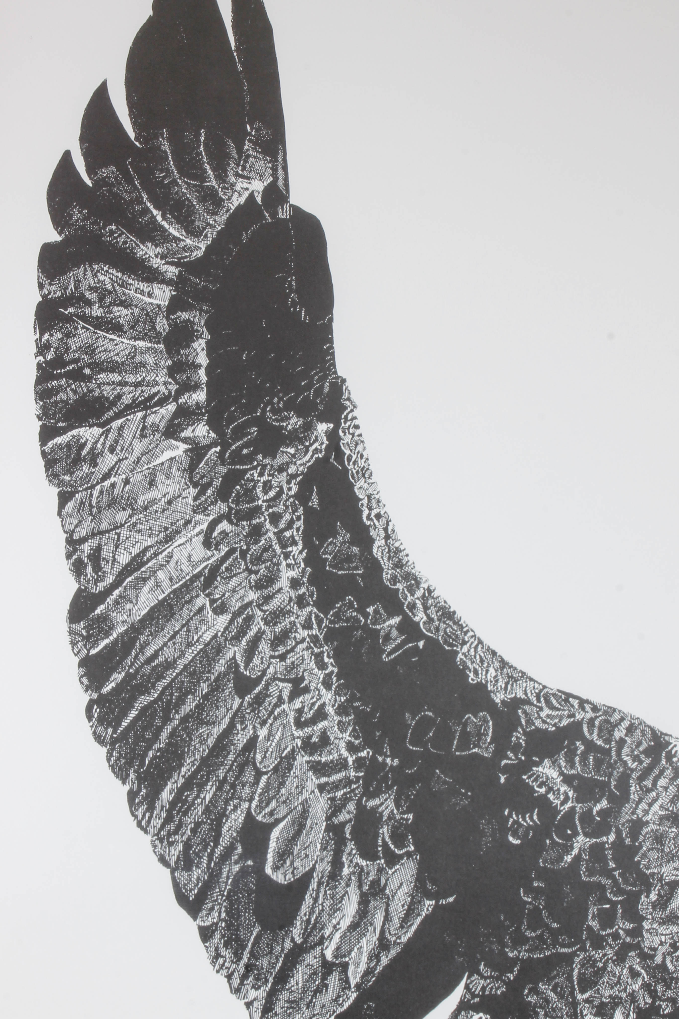 Kelly Vollrath Offset Lithograph of Bald Eagle