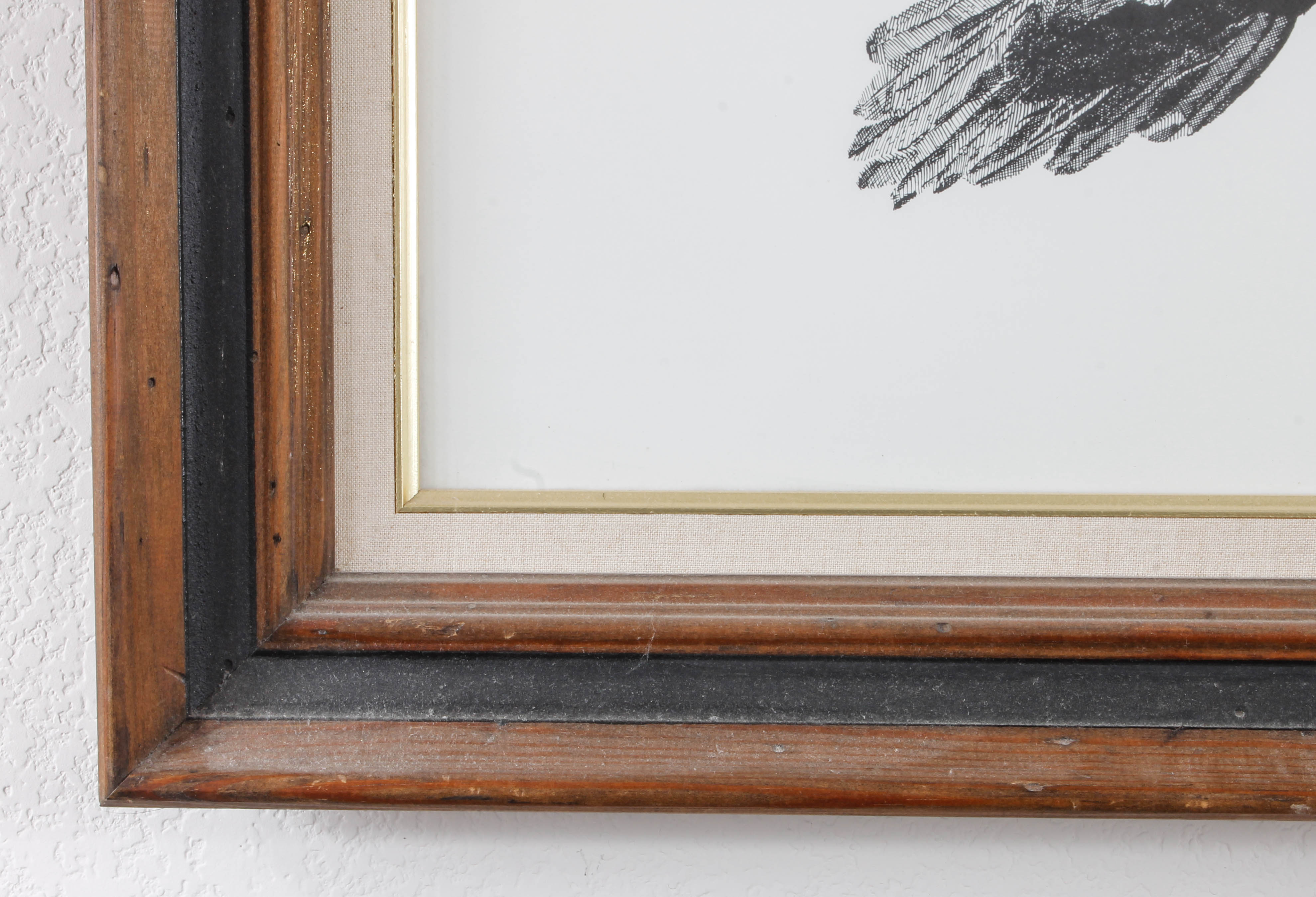 Kelly Vollrath Offset Lithograph of Bald Eagle