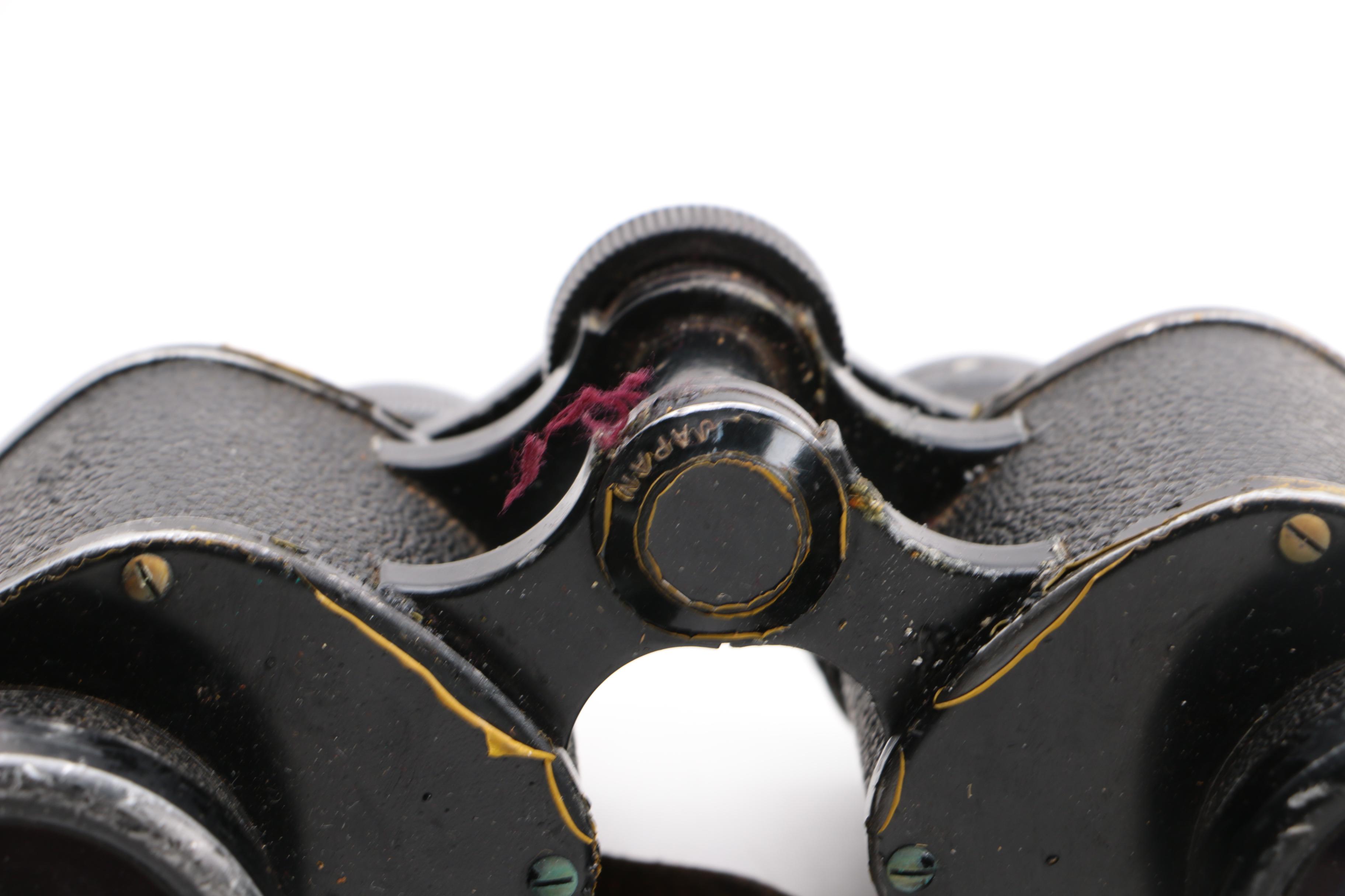 Nikon Binoculars with Leather Carrying Case