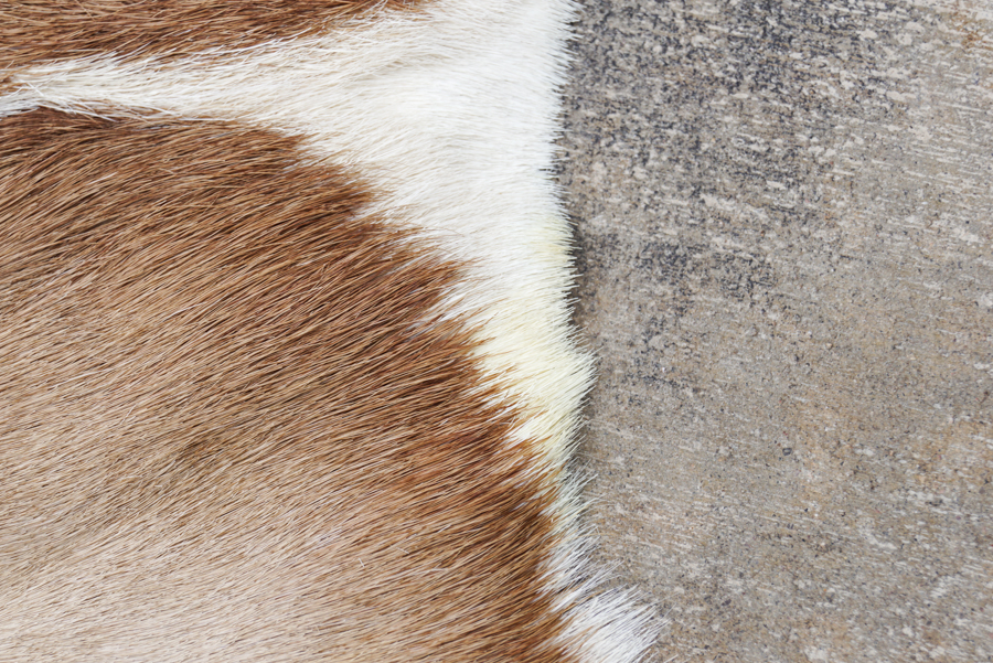 Circular Antelope Fur Area Rug