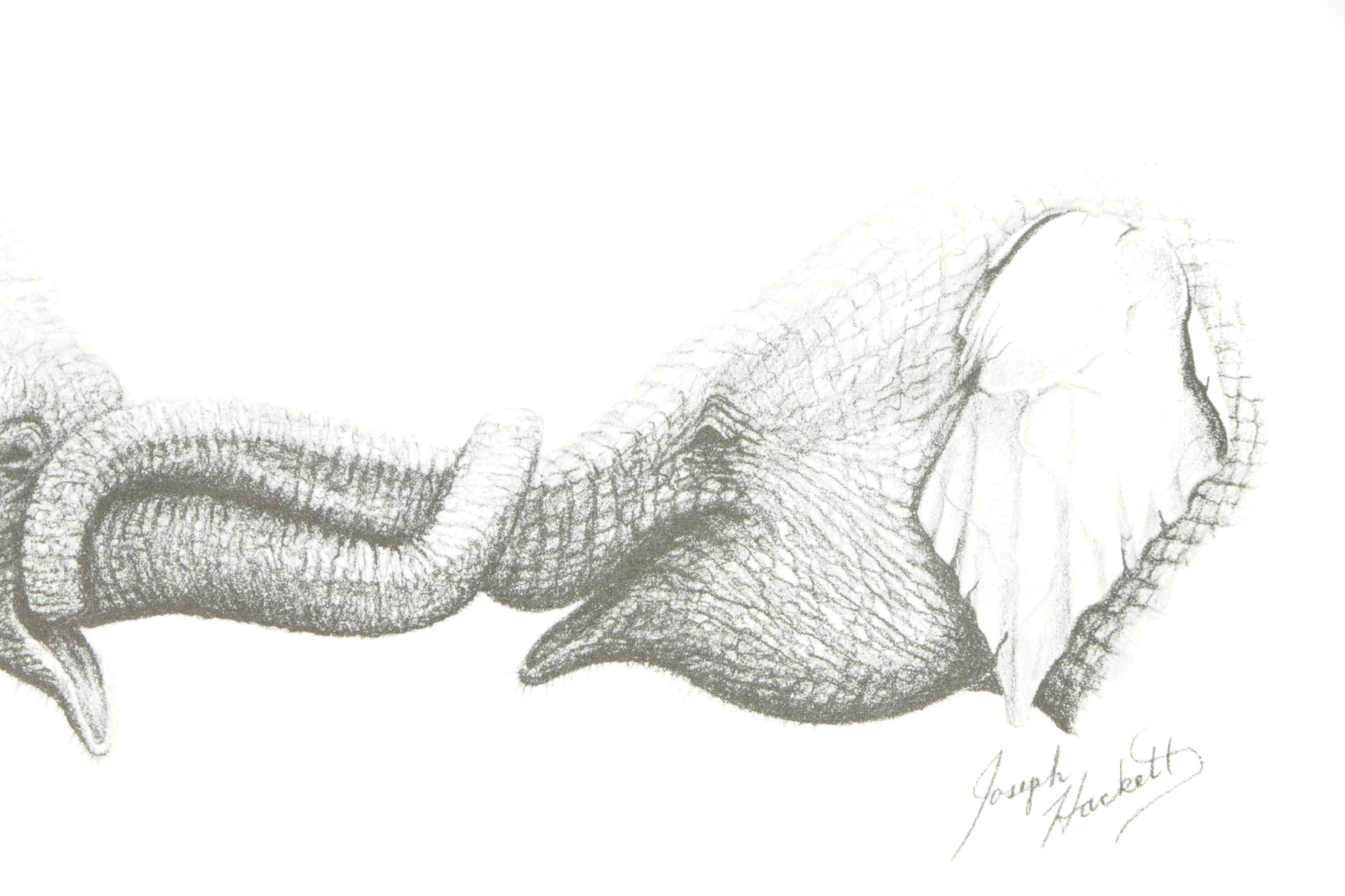 Joseph Hackett Limited Edition Offset Lithograph "Knit Together"