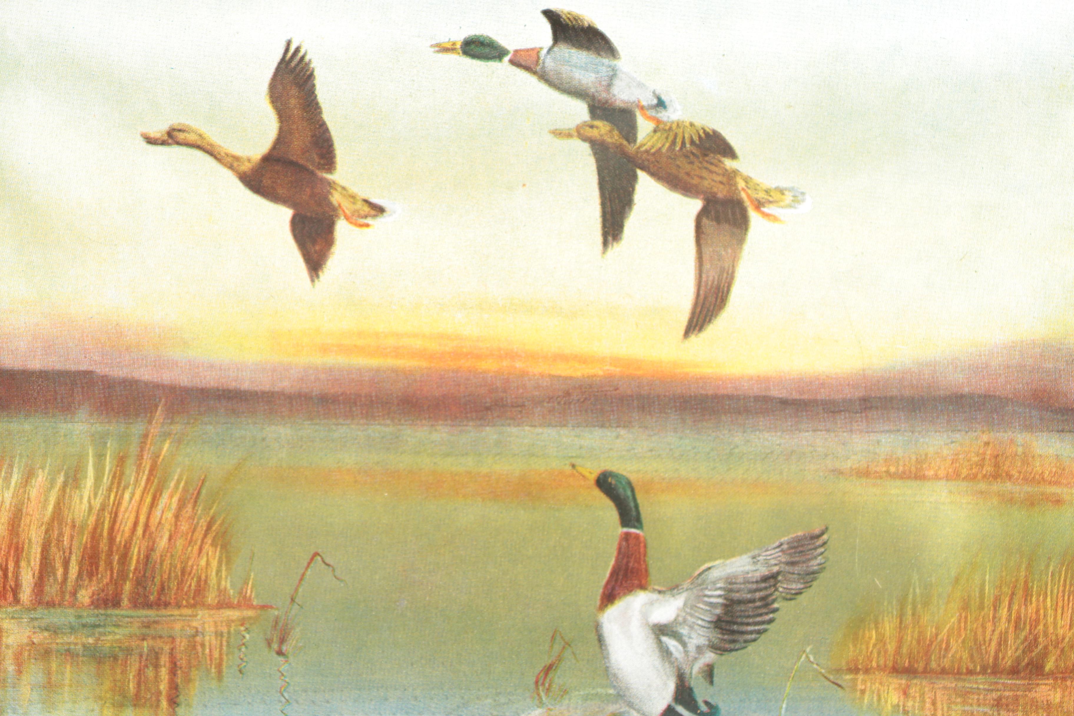 Offset Lithograph on Silk After Edward Ward of Ducks