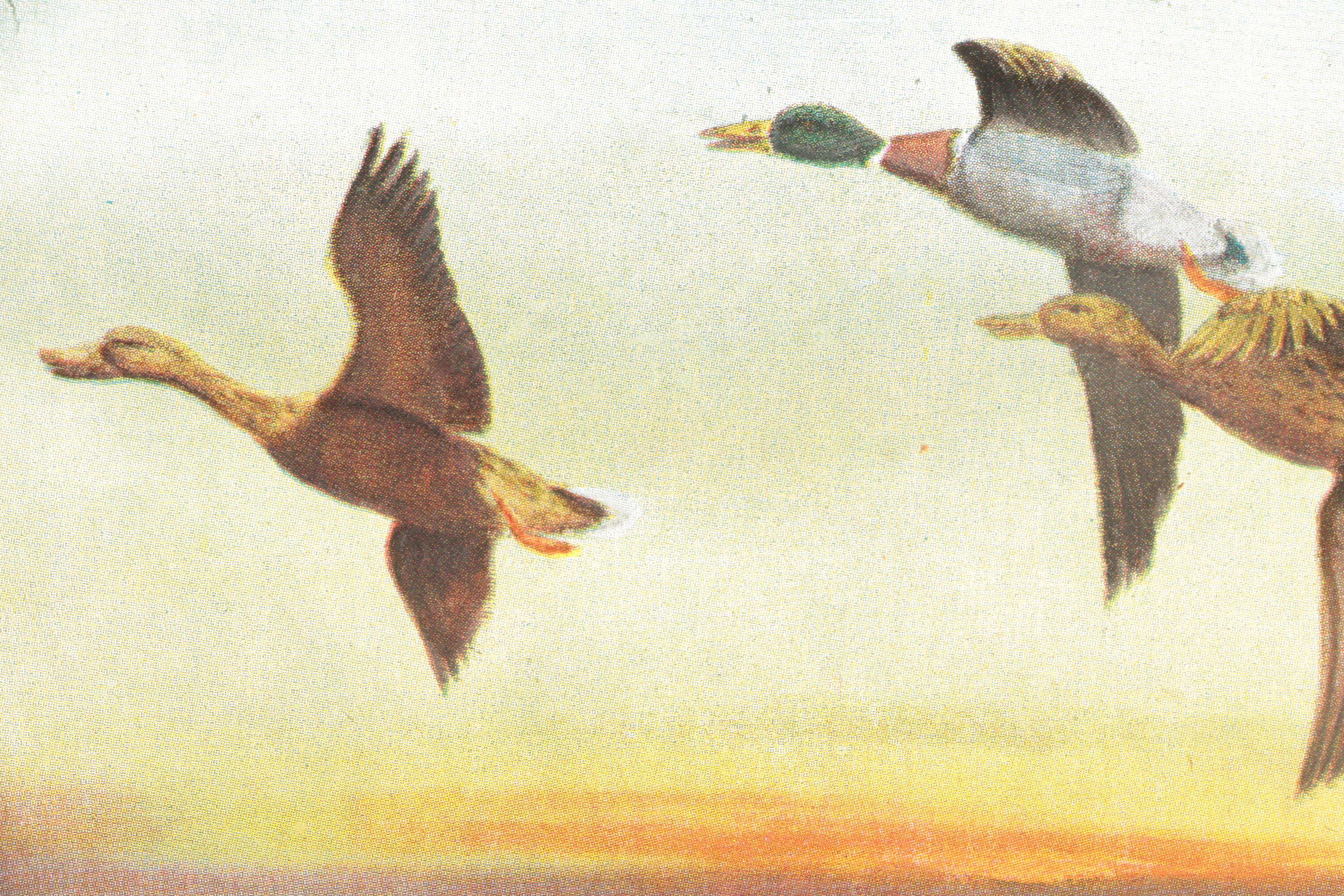 Offset Lithograph on Silk After Edward Ward of Ducks