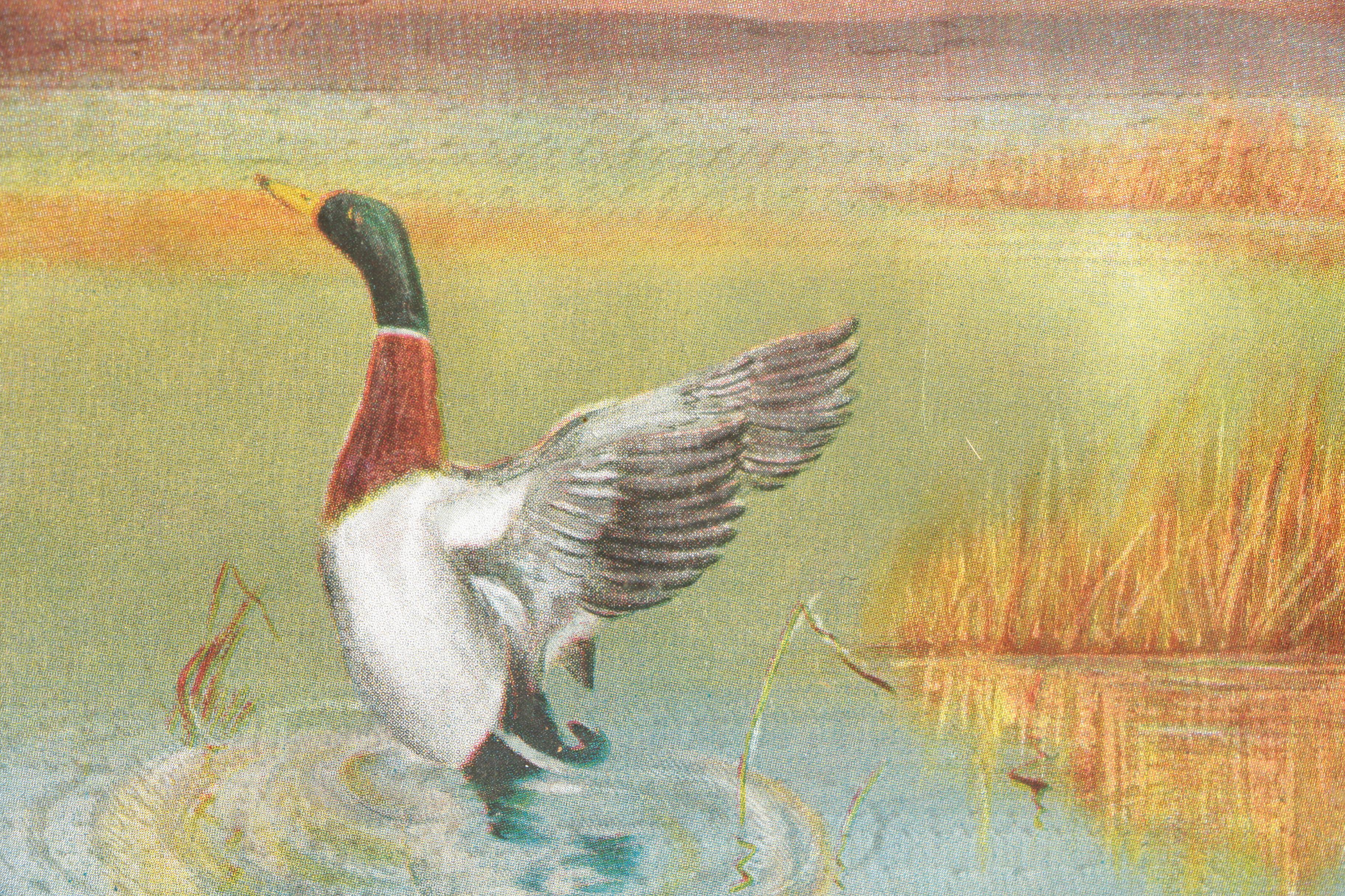 Offset Lithograph on Silk After Edward Ward of Ducks