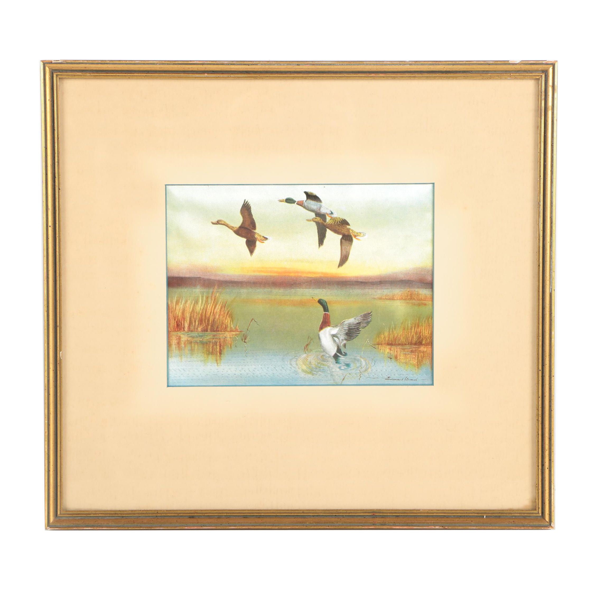 Offset Lithograph on Silk After Edward Ward of Ducks