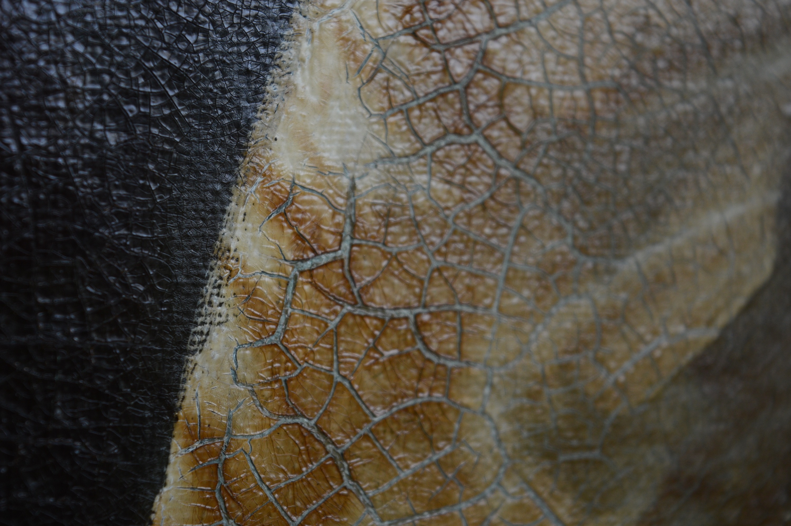 Walker Signed Antique Portrait Oil on Canvas