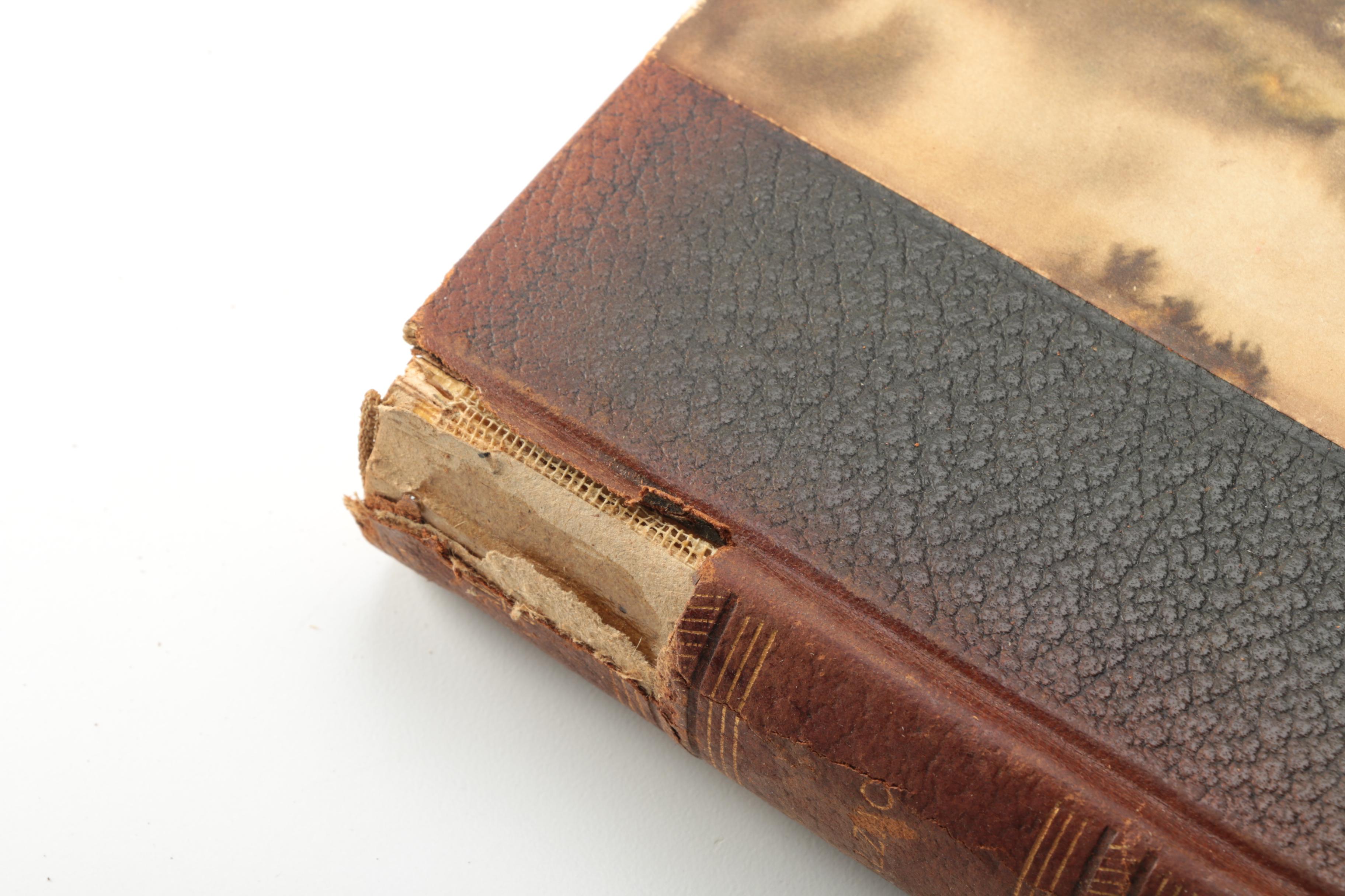 1901 Thirteen-Volume "The Comedy of Human Life" by Honoré de Balzac