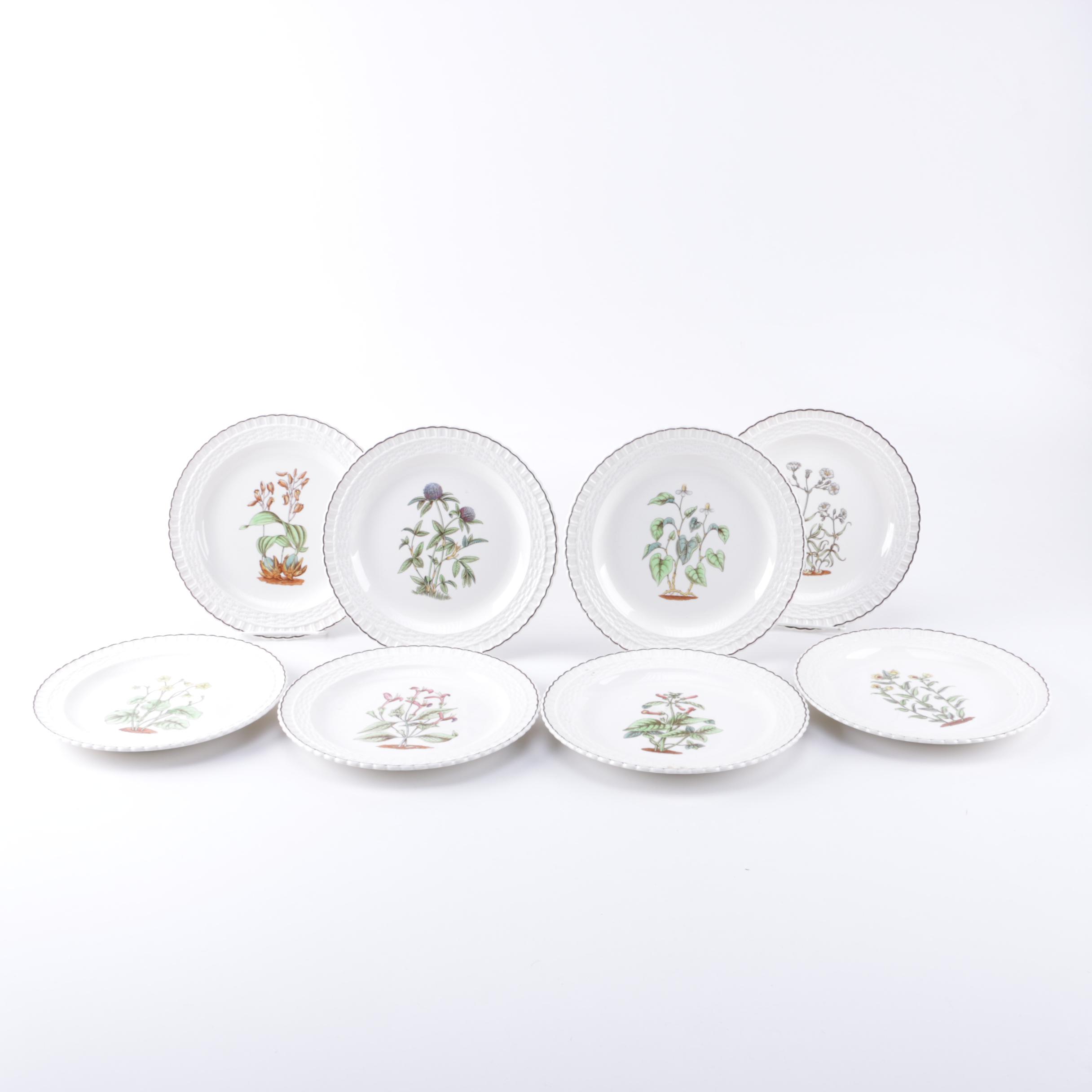 Set of Copeland Spode Botanical Cabinet Plates
