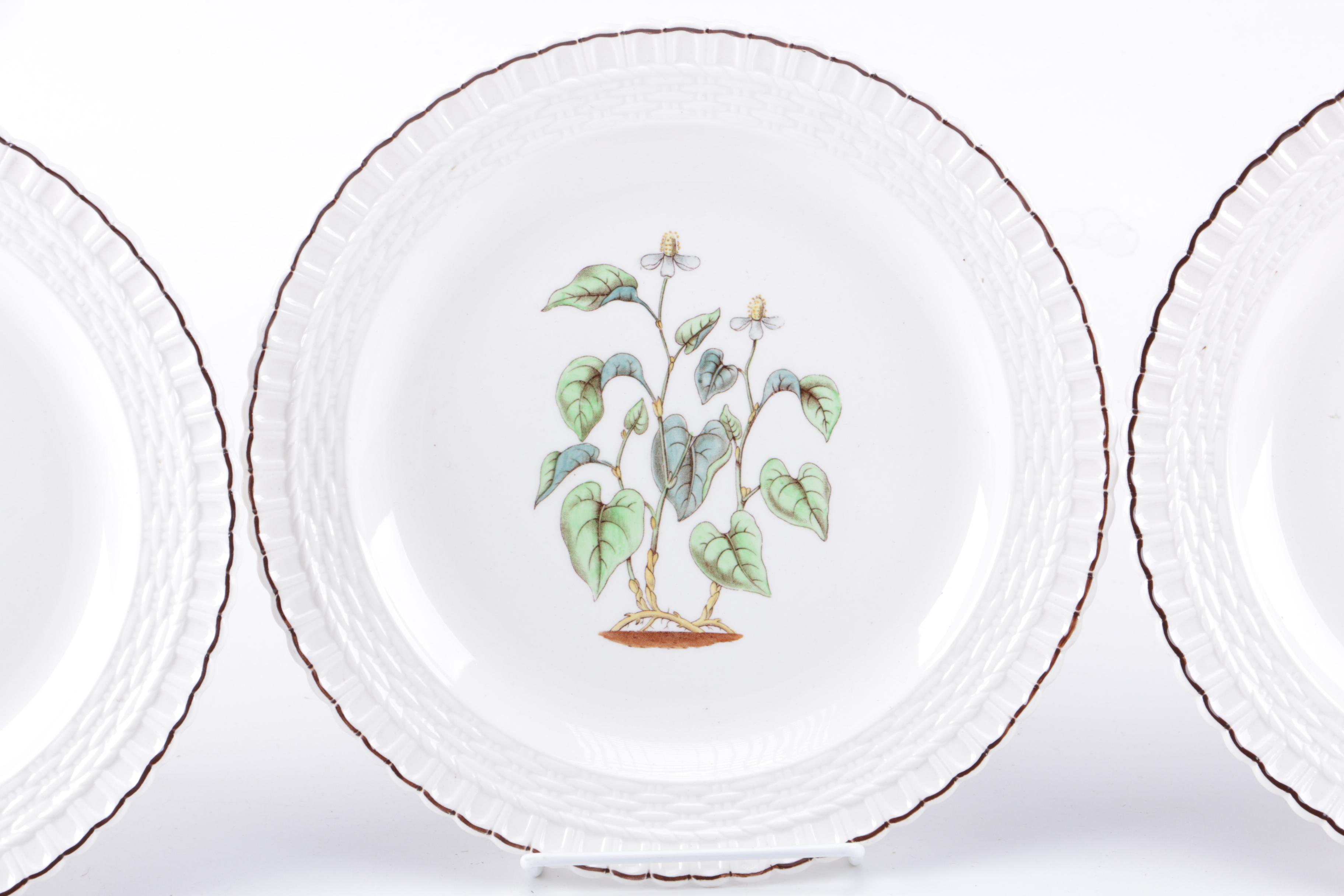 Set of Copeland Spode Botanical Cabinet Plates