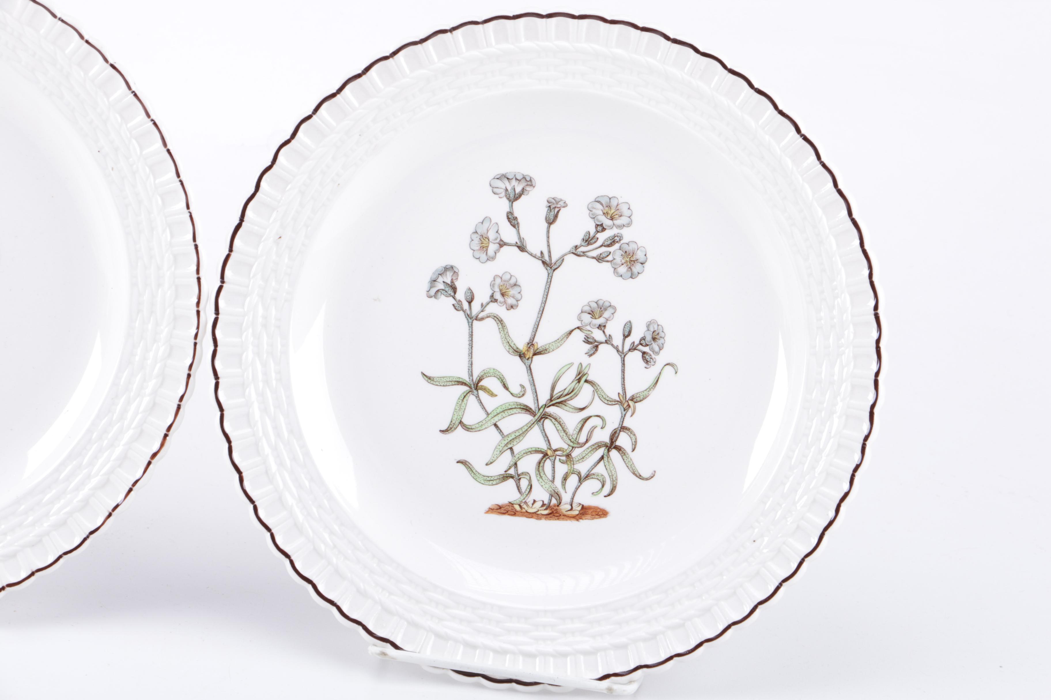 Set of Copeland Spode Botanical Cabinet Plates