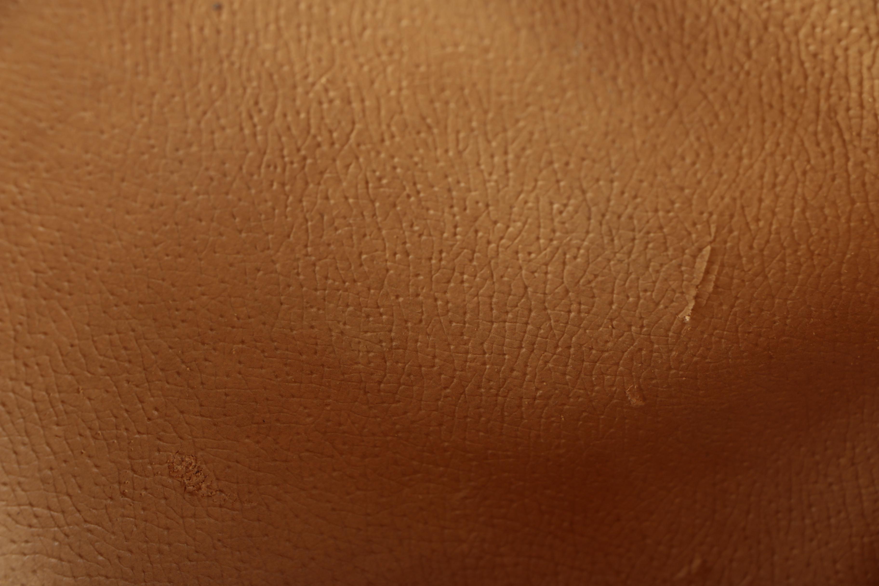 Gucci Supreme Canvas Accessory Bag