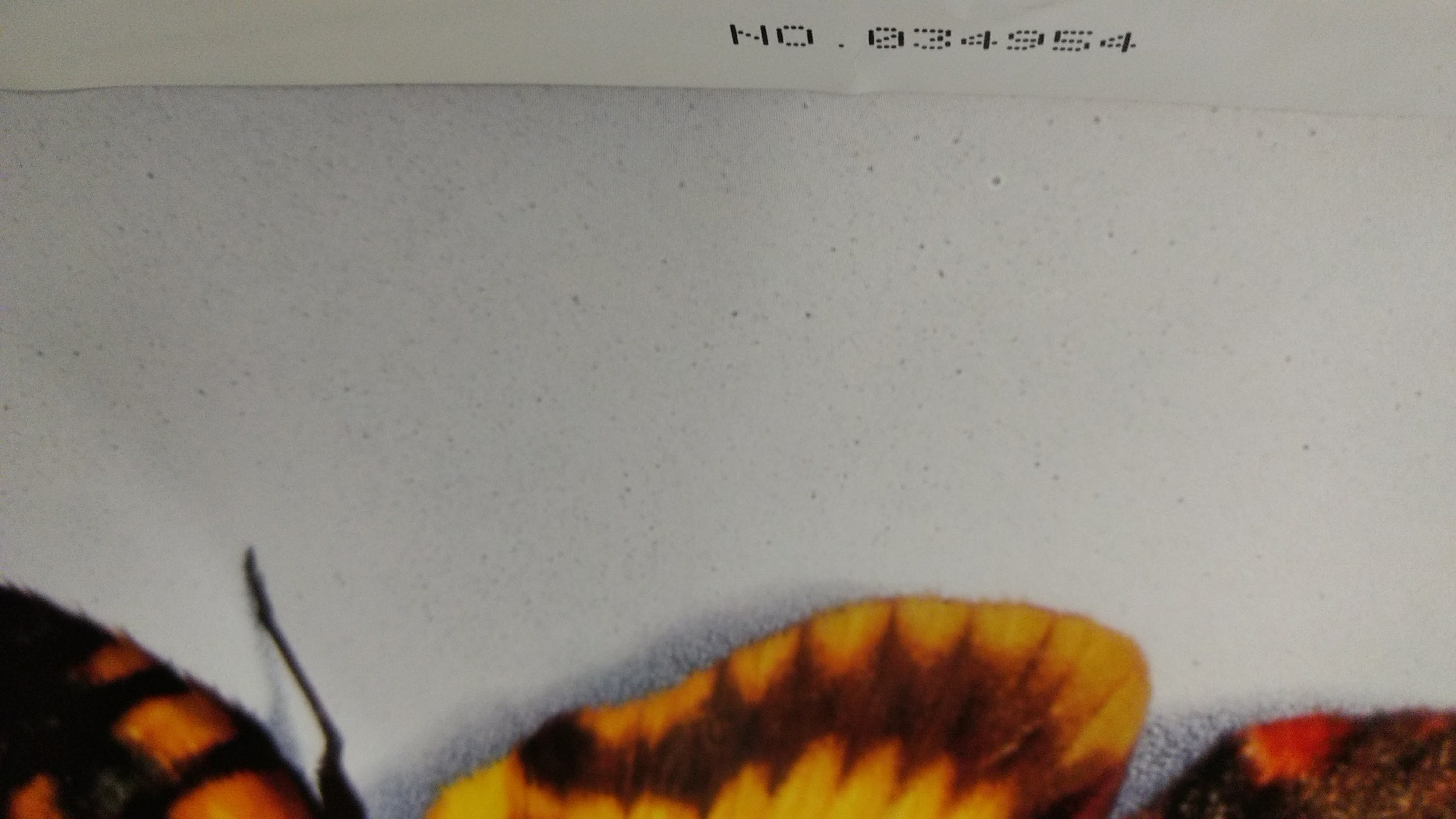 "The Silence Of The Lambs" 1991 Movie Poster