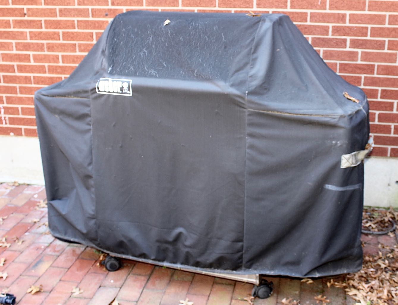 Weber "Genesis" Stainless Gas Patio Grill