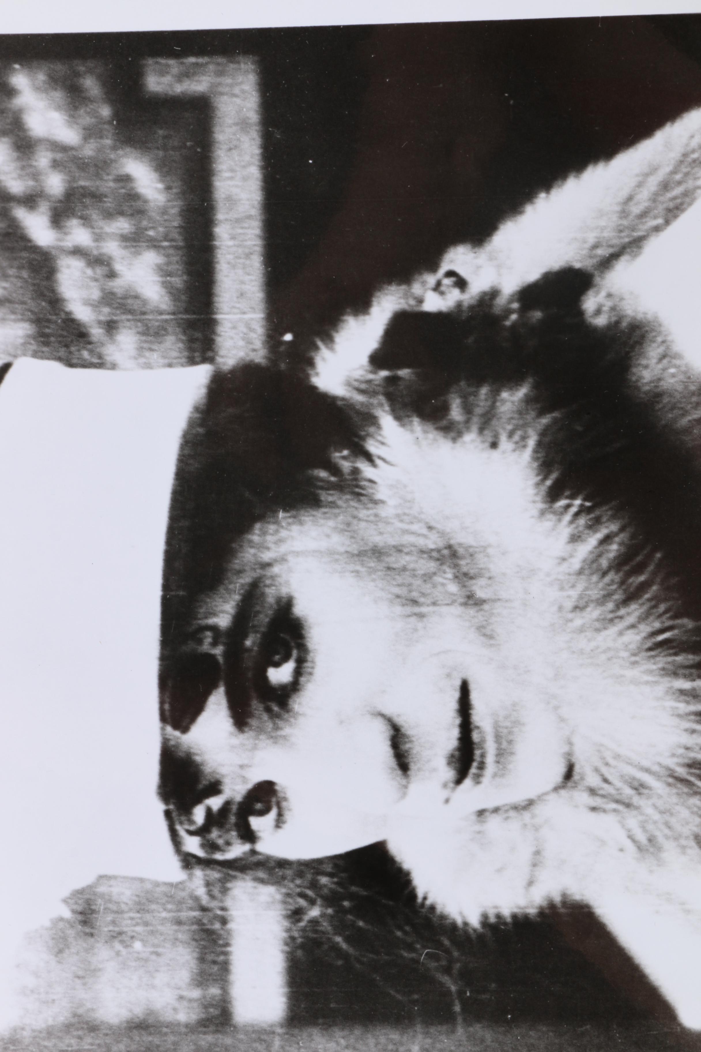 Vintage Charlie Chaplin Film Lobby Cards