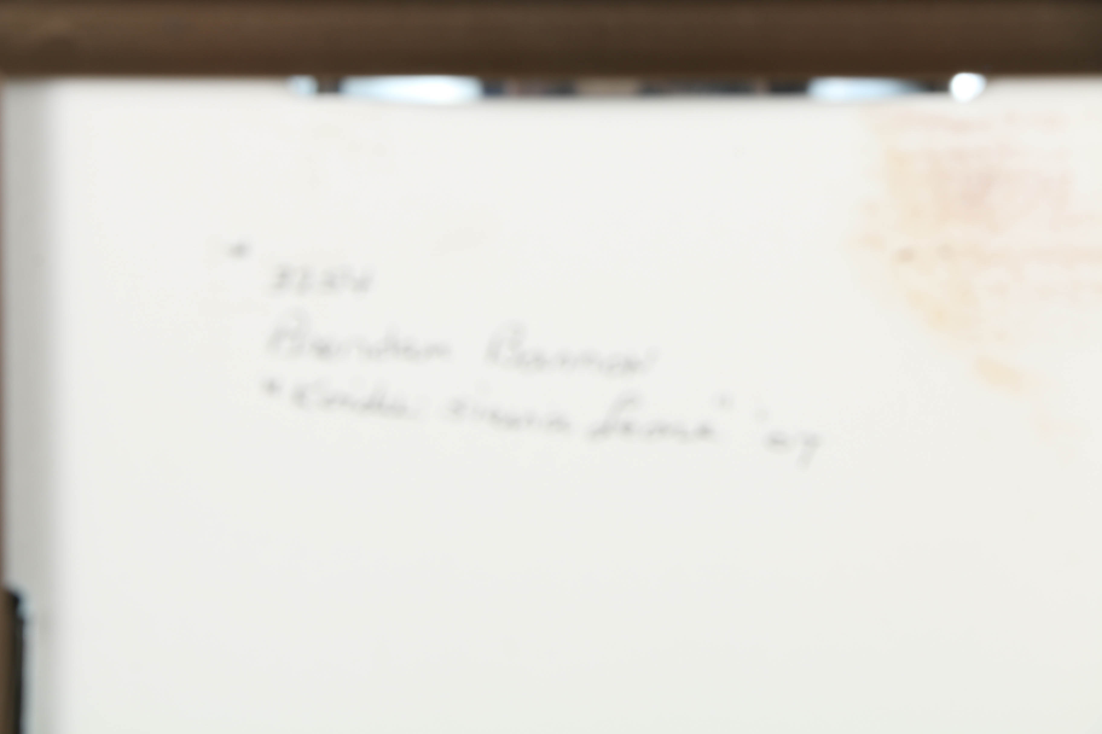 Brendan Bannon Color Photograph "Koidu: Sierra Leone, 2007"