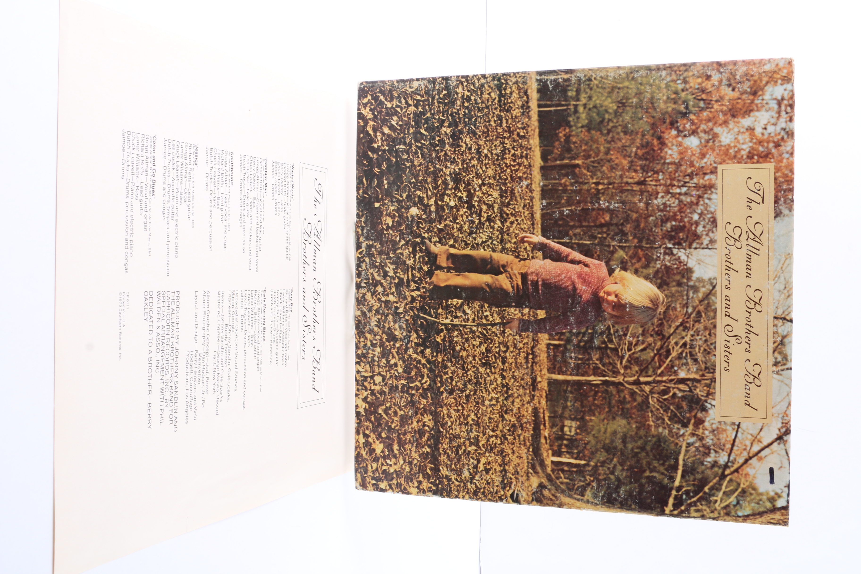 The Allman Brothers LPs Including "At Fillmore East"