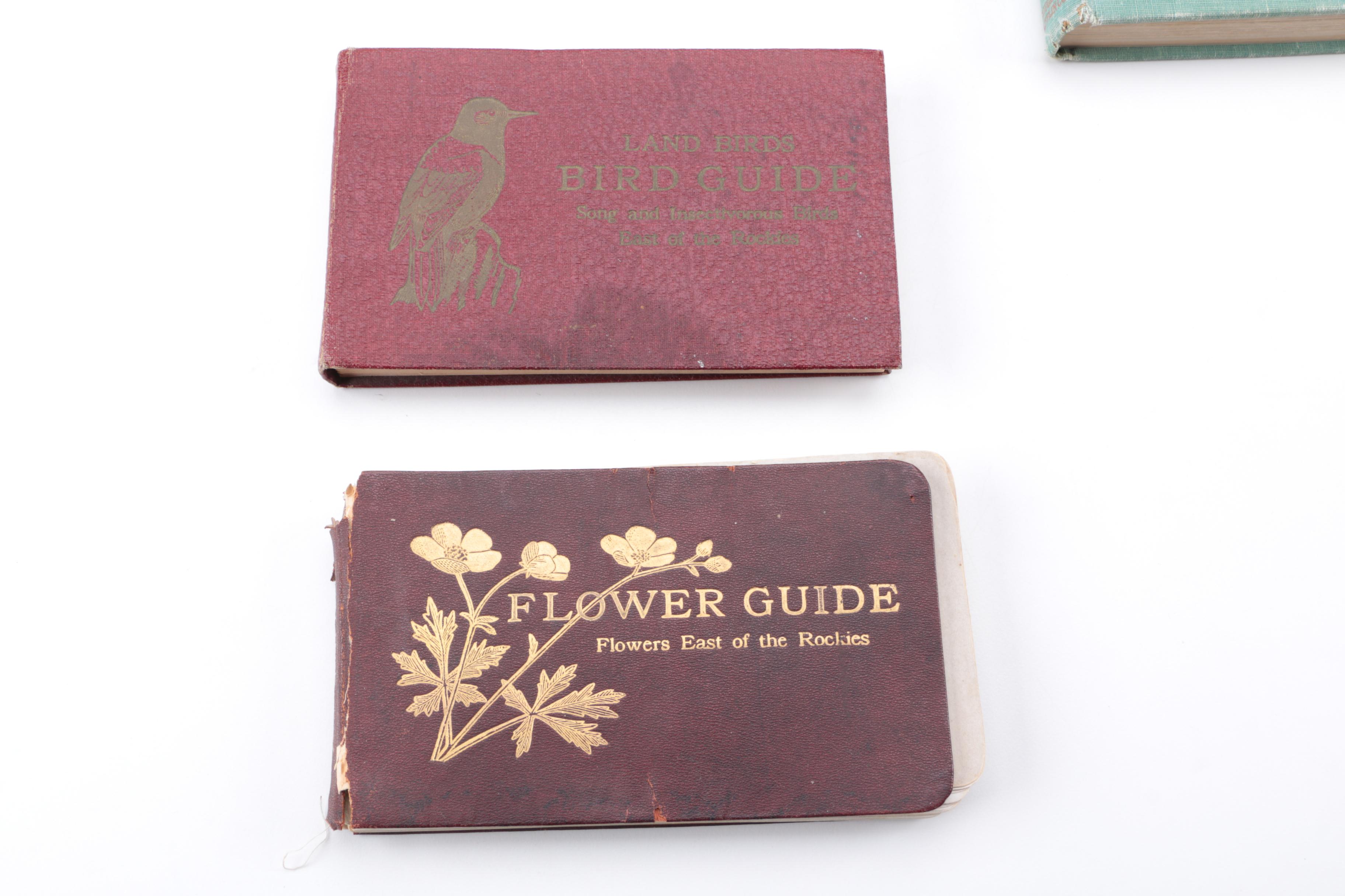 Collection of Books on Birds Including John James Audubon