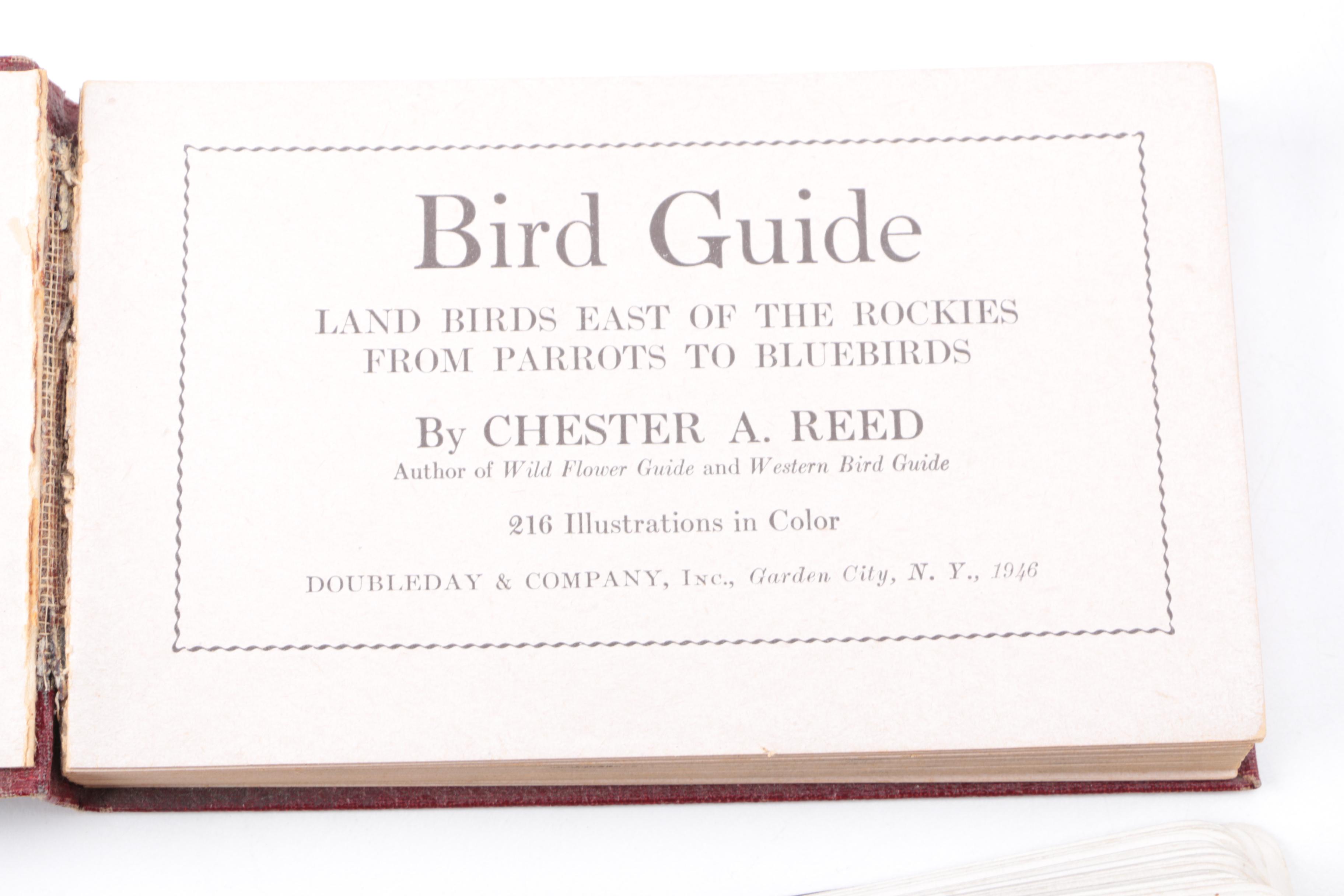 Collection of Books on Birds Including John James Audubon