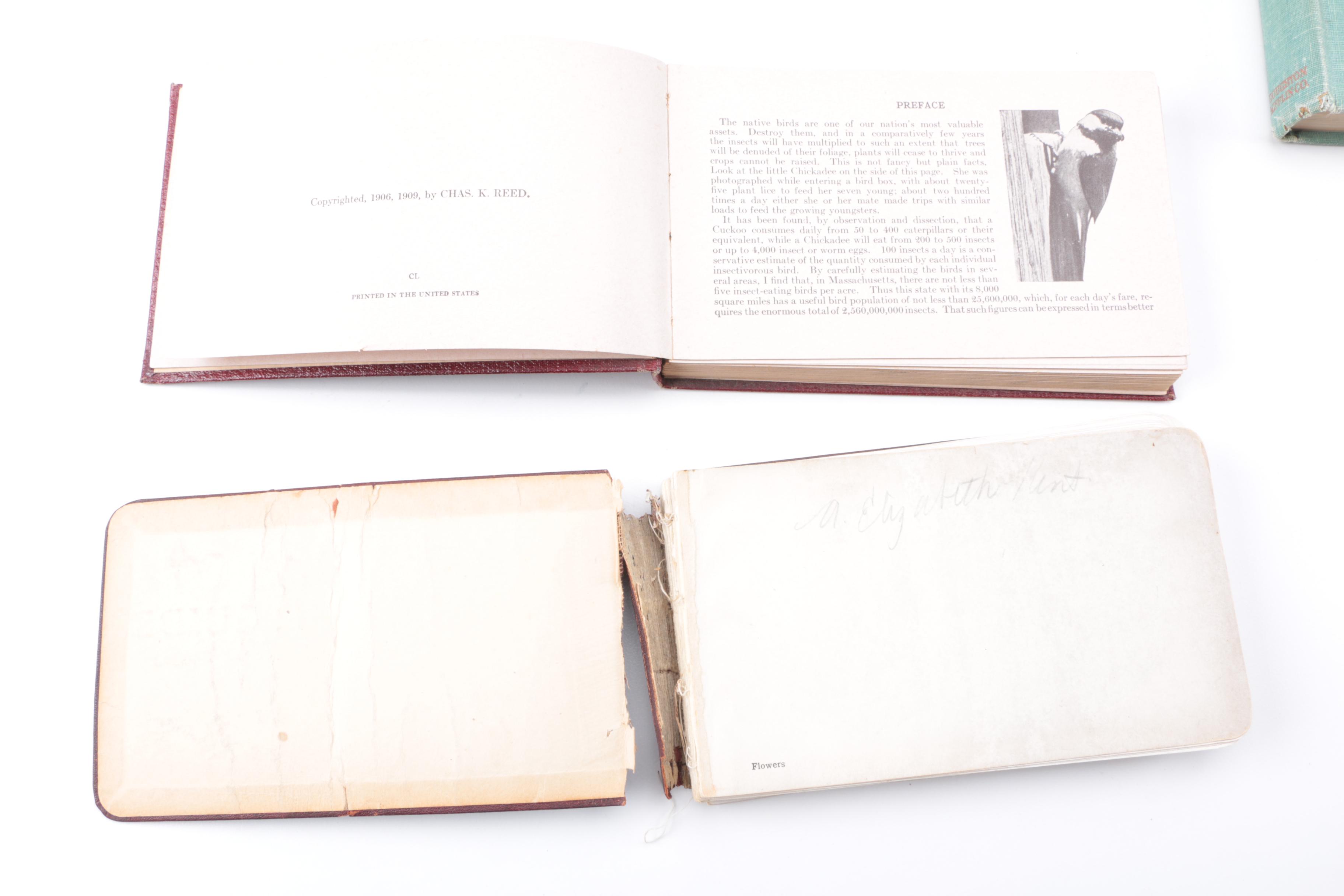 Collection of Books on Birds Including John James Audubon