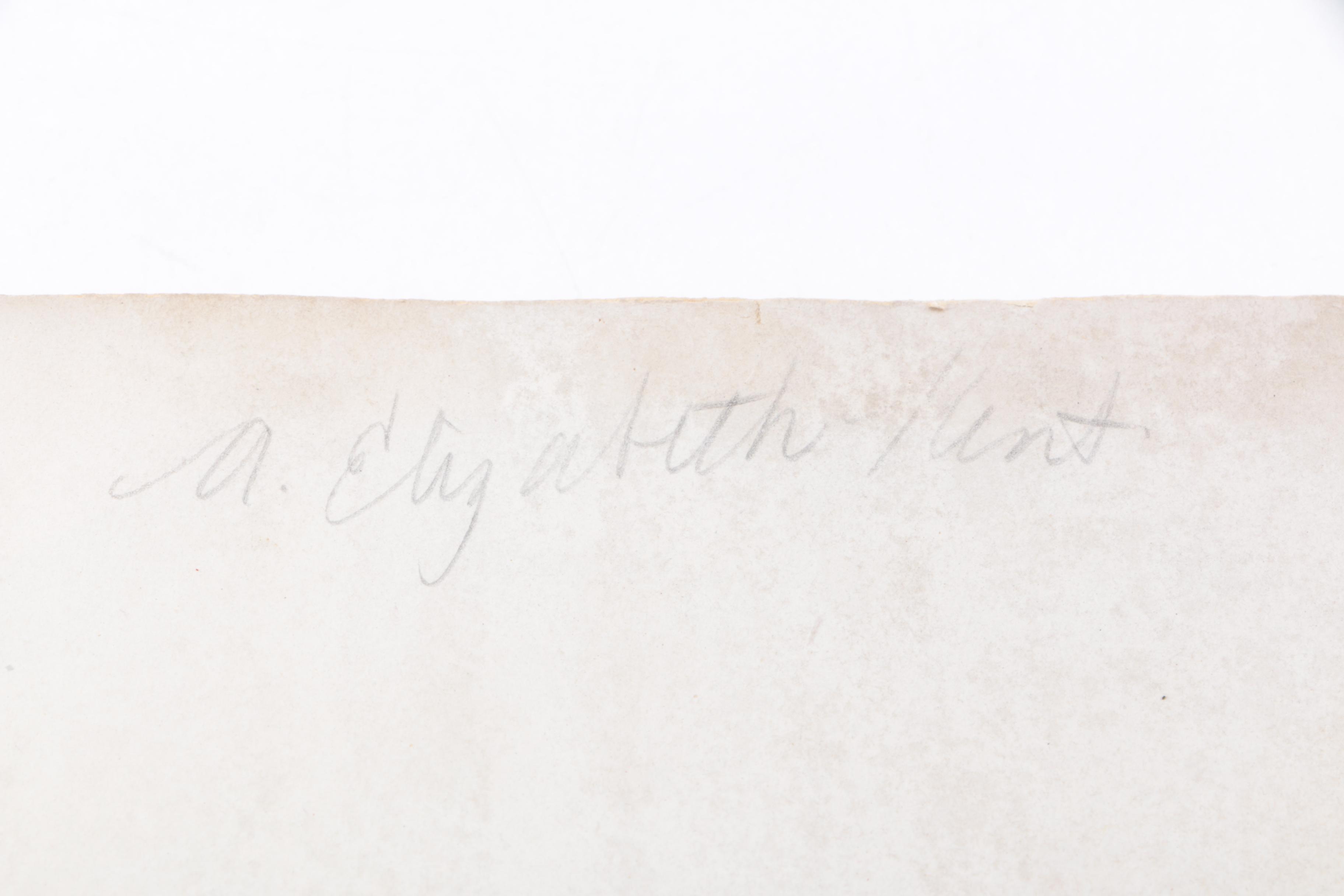 Collection of Books on Birds Including John James Audubon