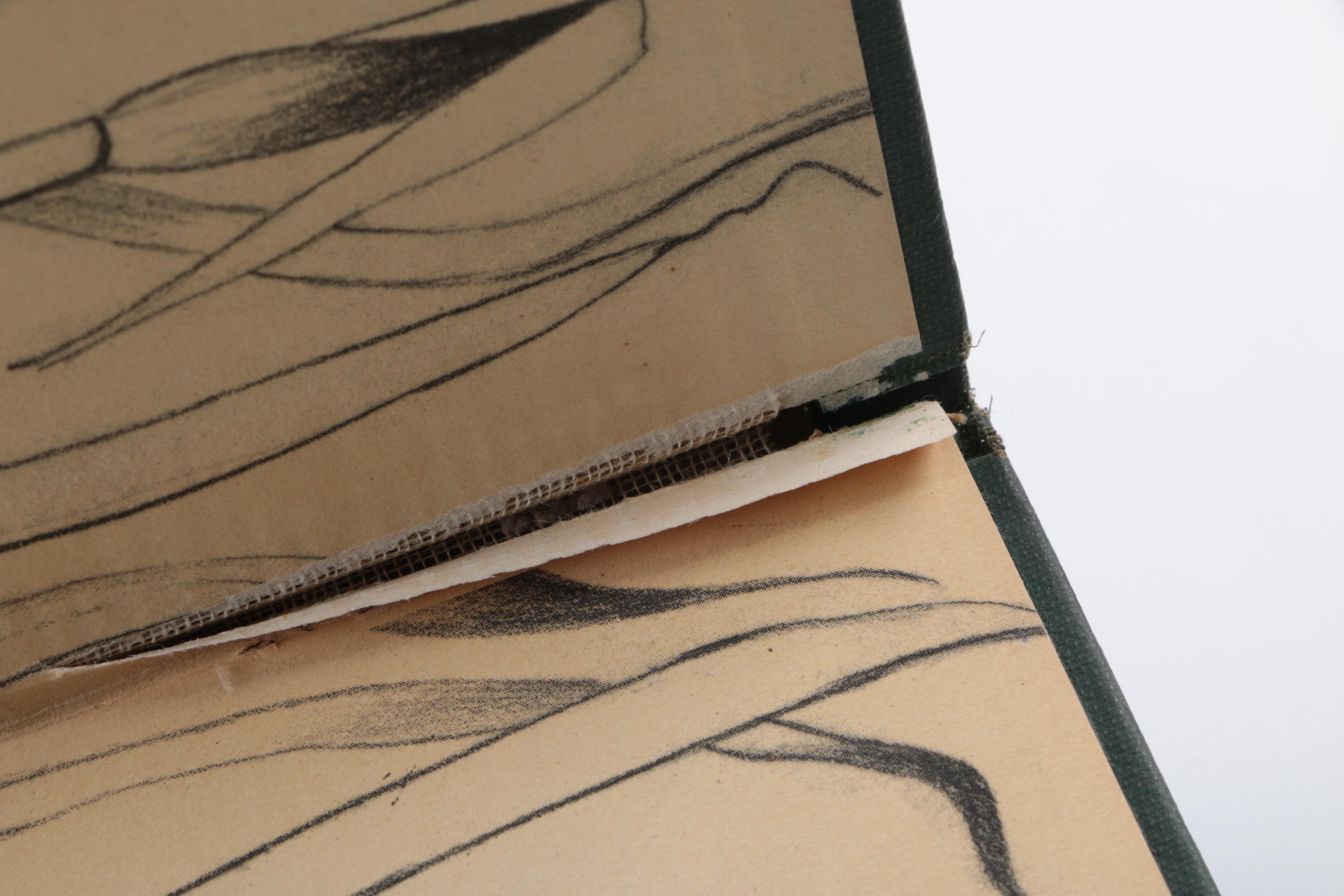 Collection of Books on Birds Including John James Audubon